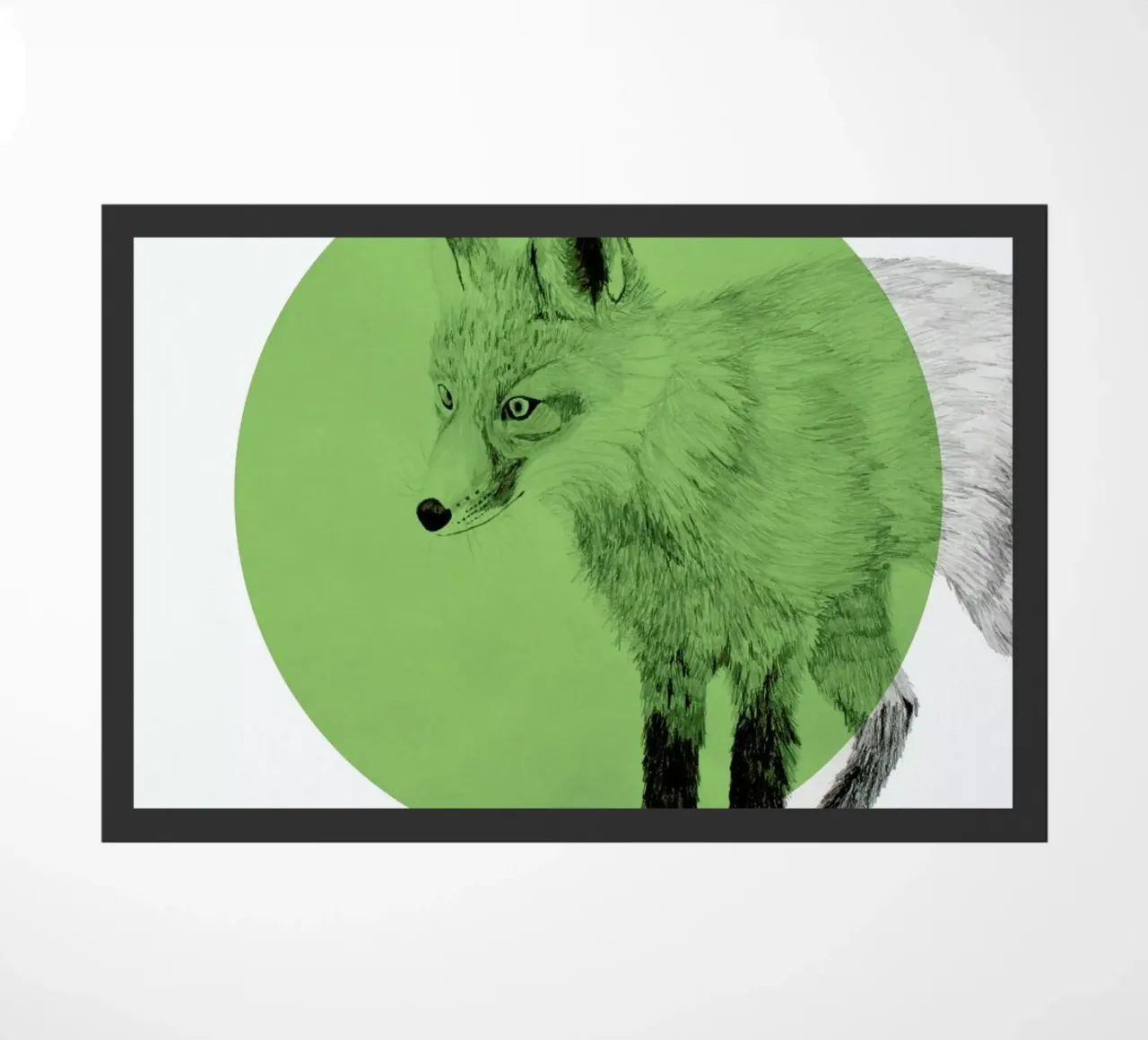 Fox zerbino da Morgan Kendall