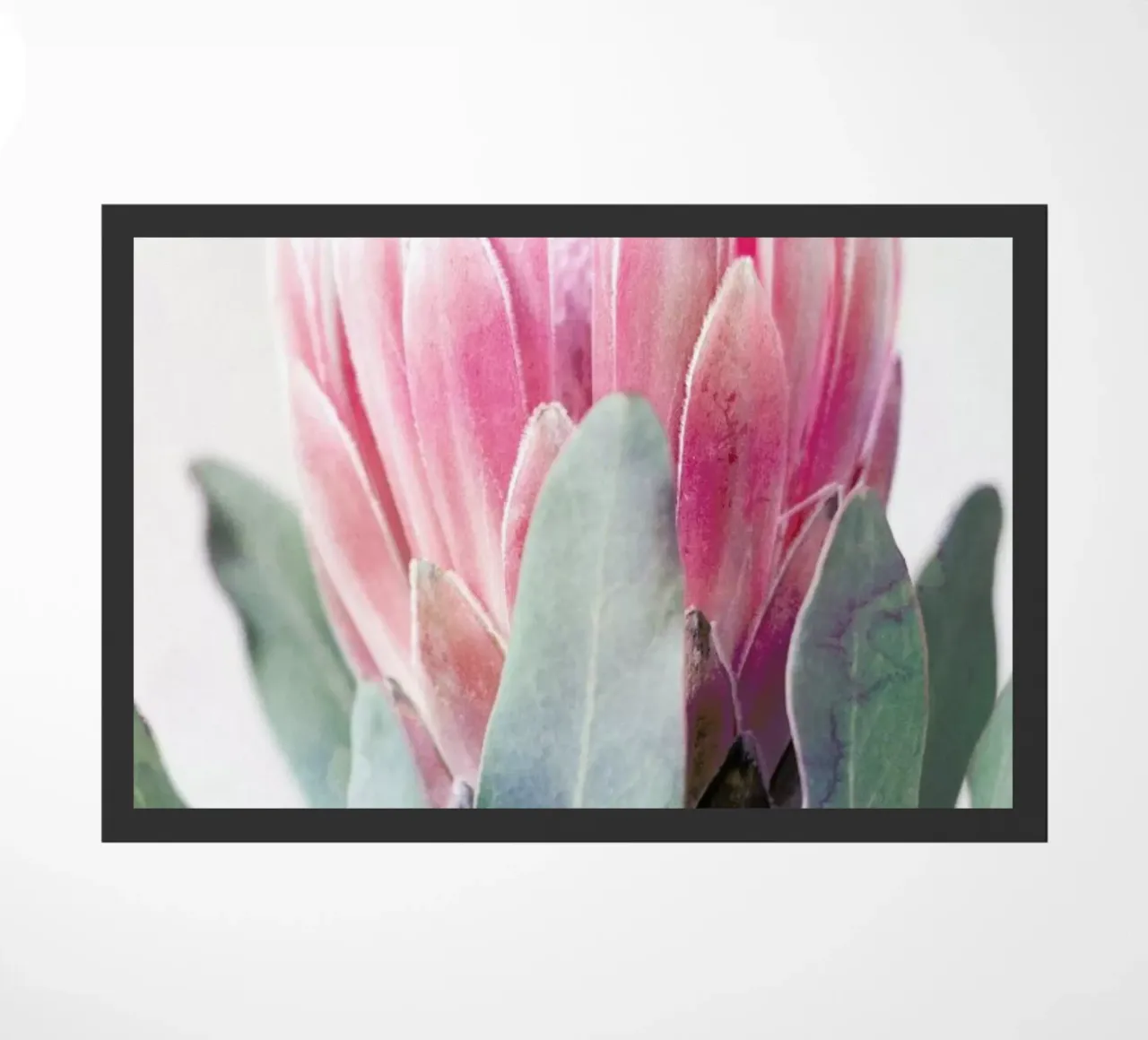 Print 226 zerbino da Lila & Lola