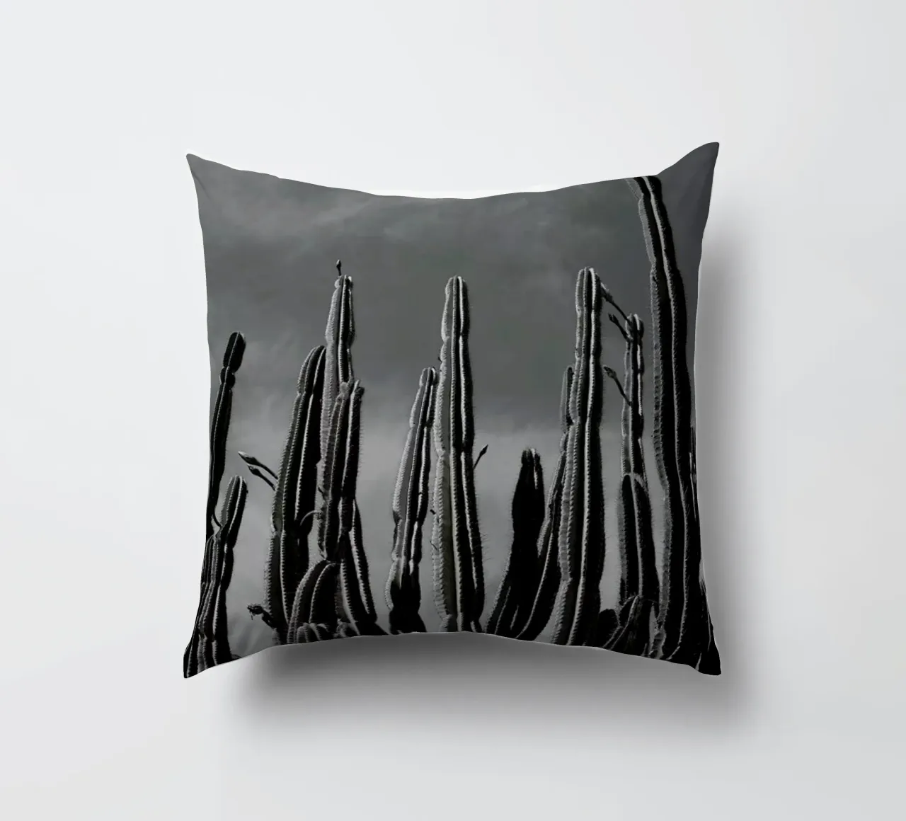 Cactus 02 cuscino da Laura Palm