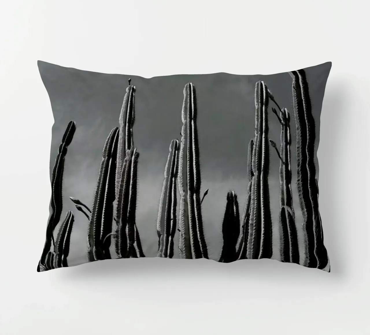 Cactus 02 cuscino da Laura Palm