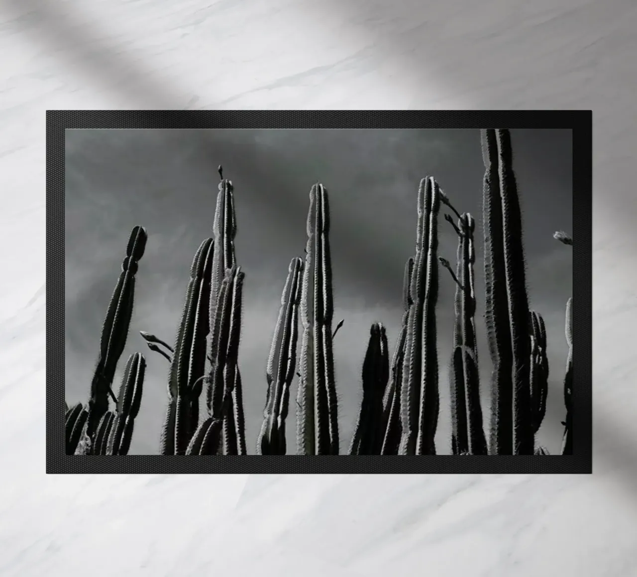 Cactus 02 zerbino da Laura Palm