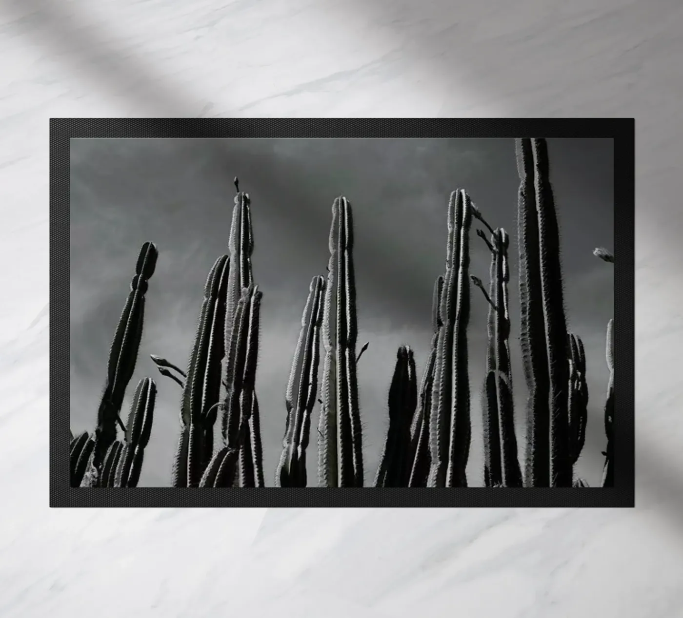 Cactus 02 zerbino da Laura Palm