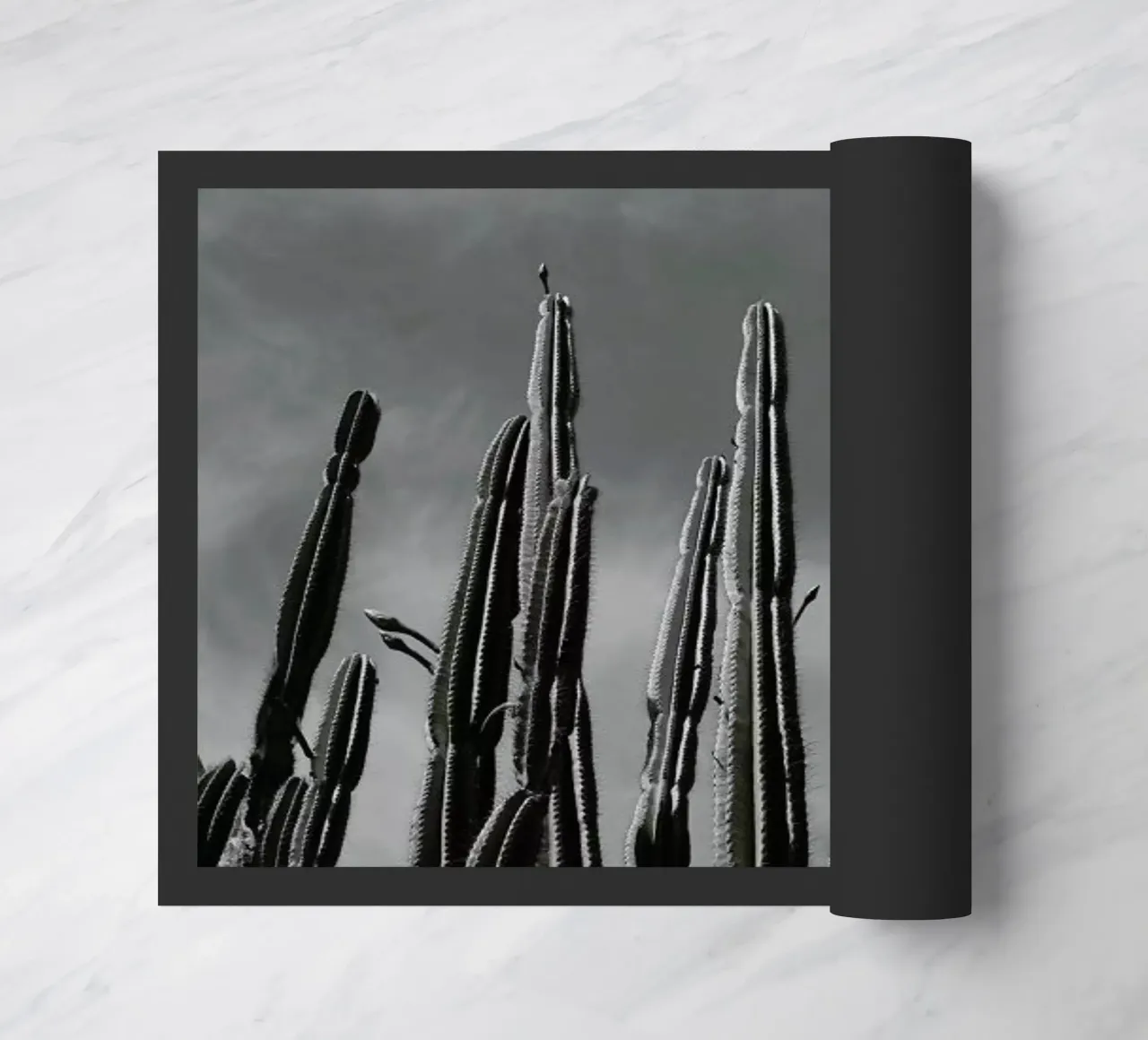 Cactus 02 zerbino da Laura Palm