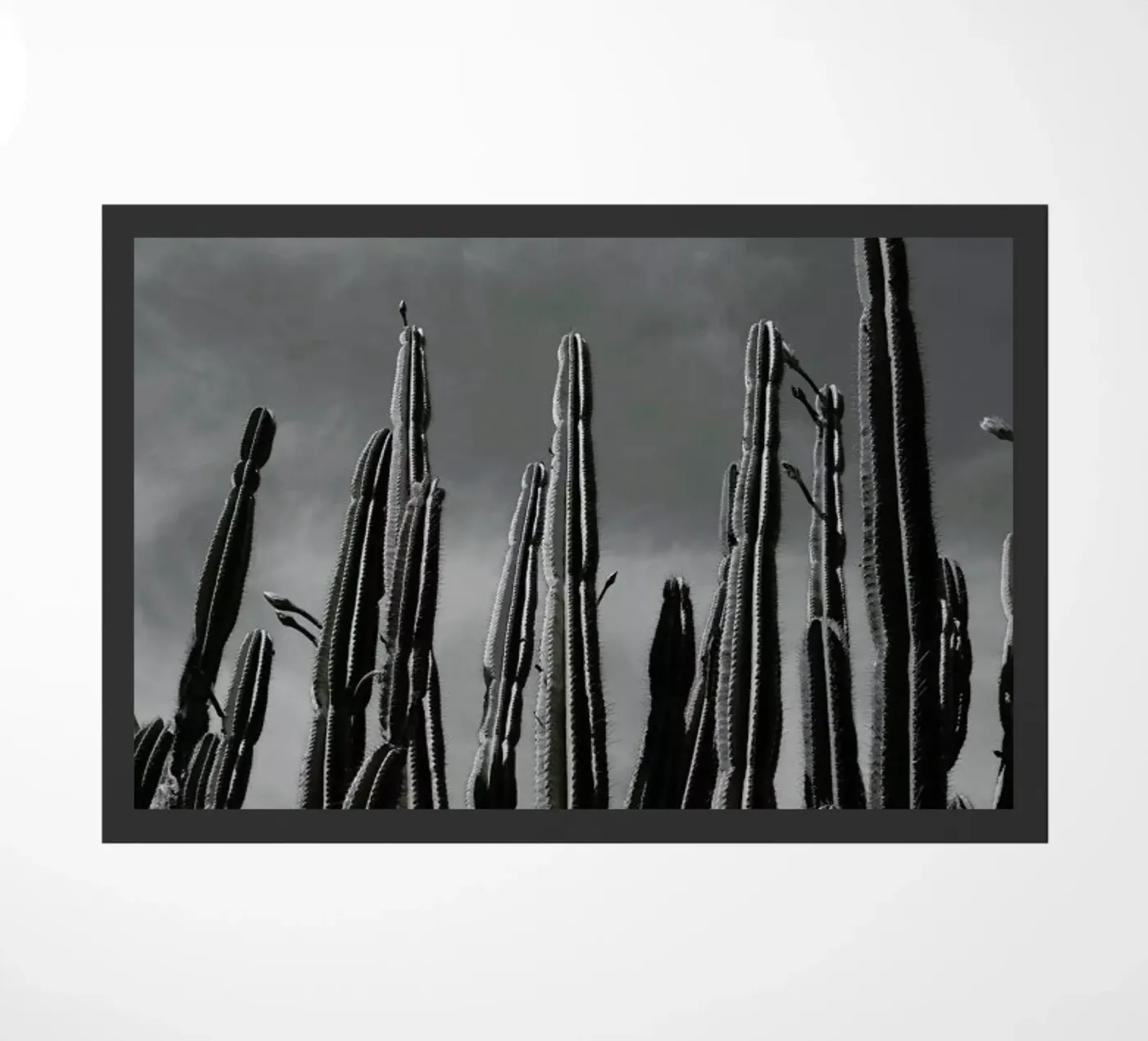 Cactus 02 deurmat van Laura Palm