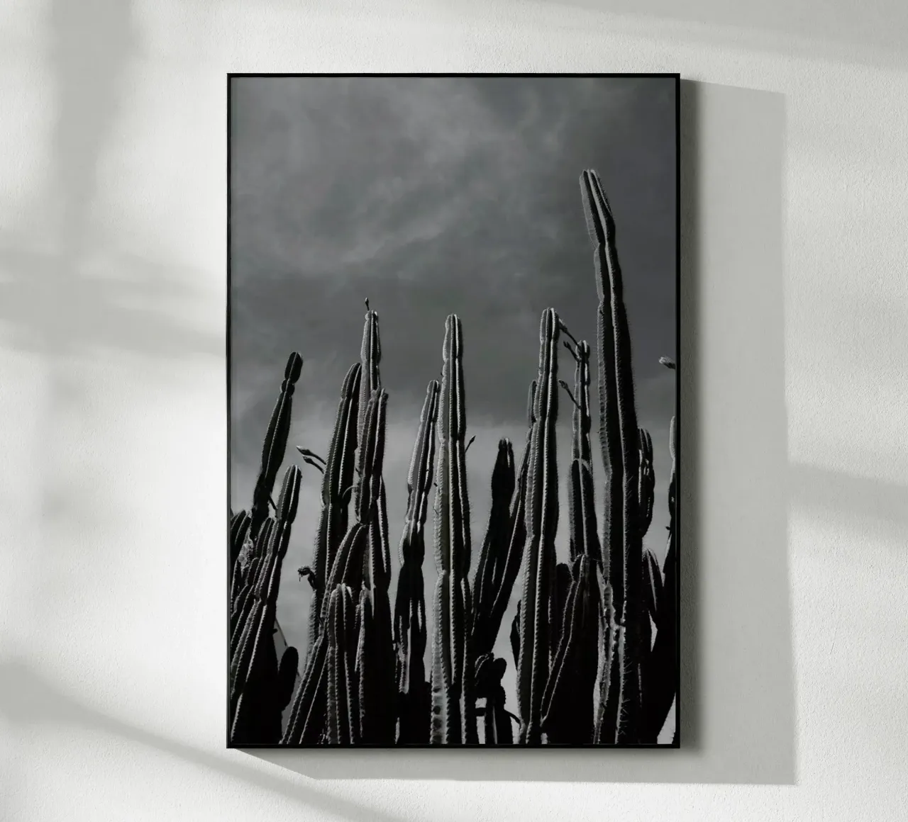 Cactus 02 plexiglass da Laura Palm