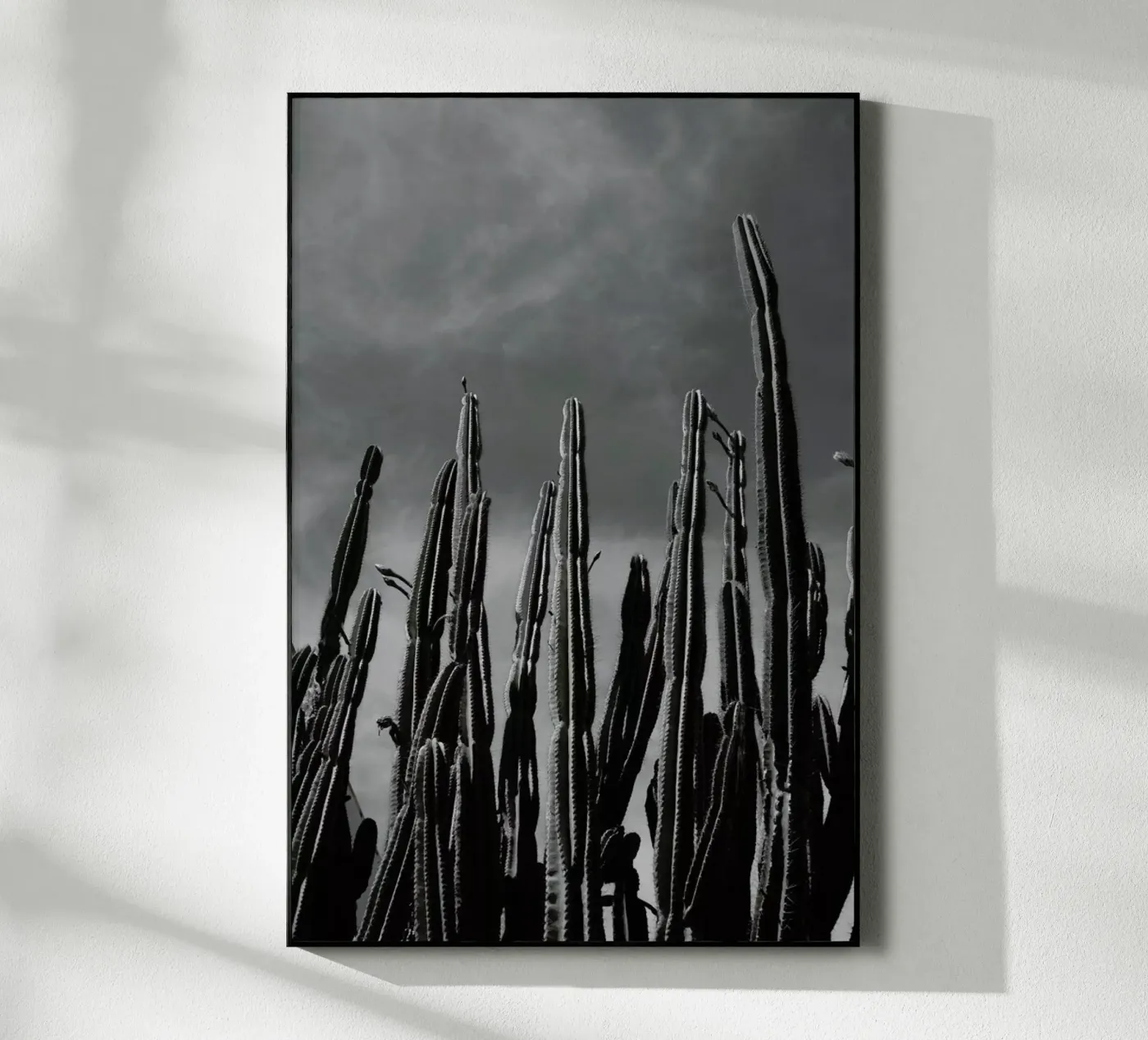 Cactus 02 plexiglass da Laura Palm