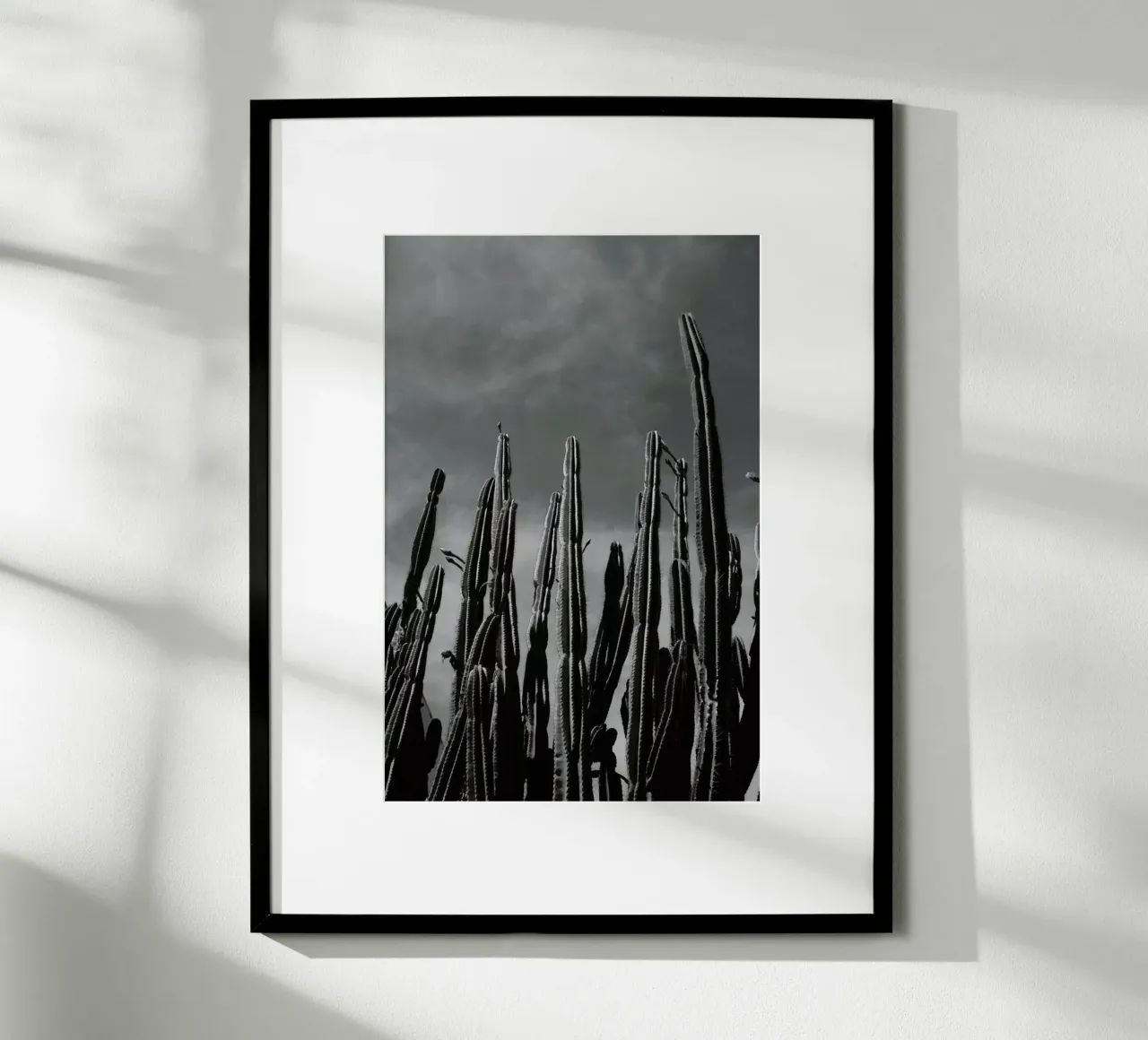 Cactus 02 poster da Laura Palm