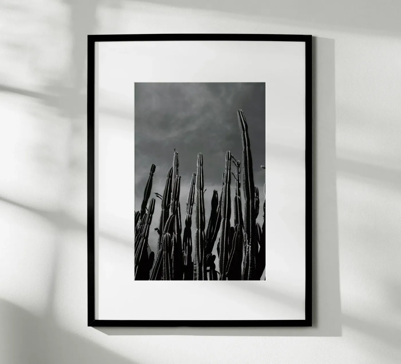 Cactus 02 poster da Laura Palm