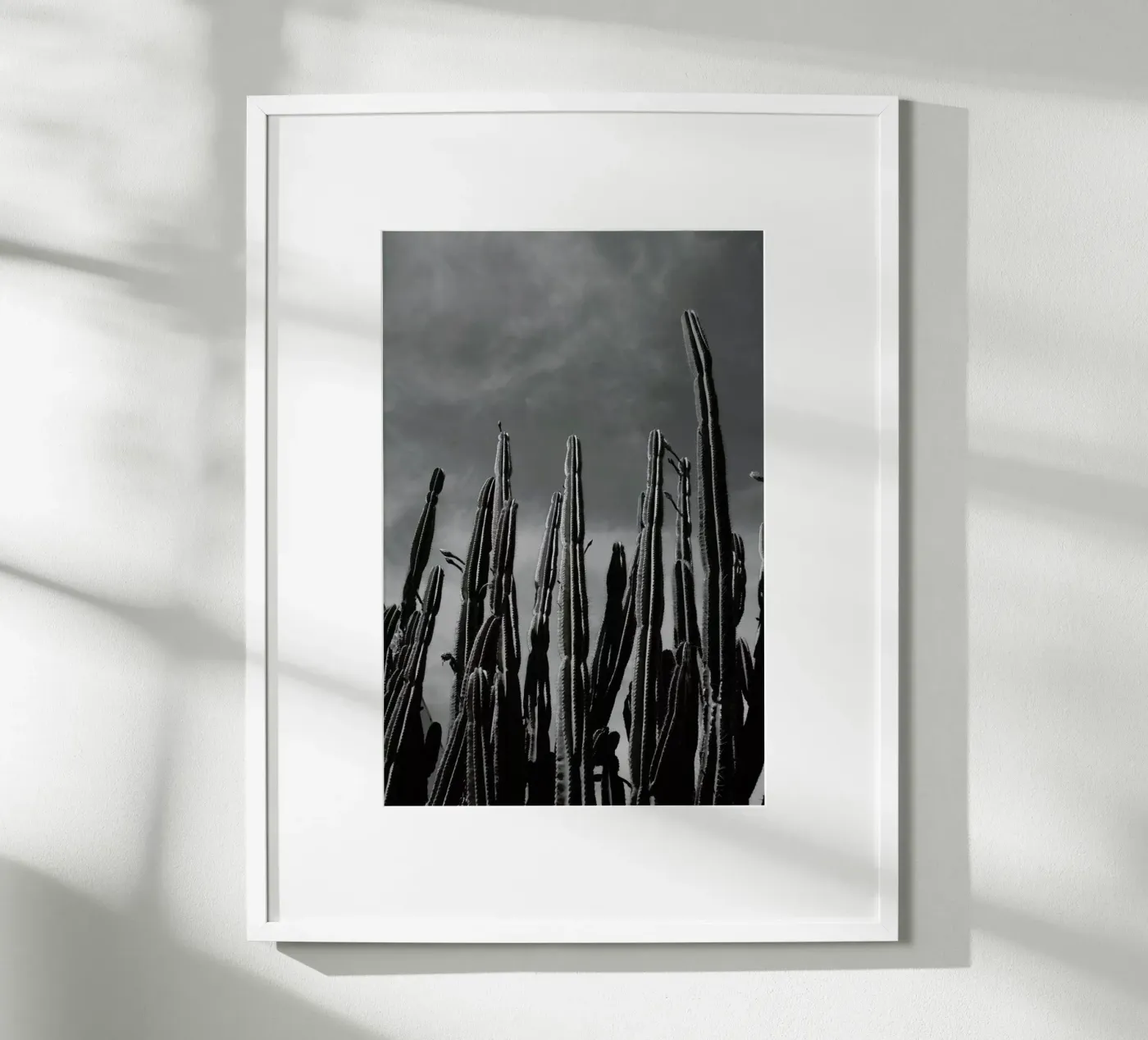 Cactus 02 poster da Laura Palm