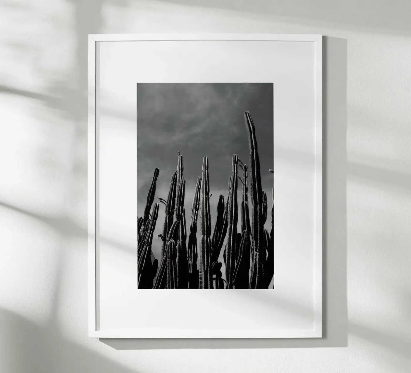 Cactus 02 poster da Laura Palm