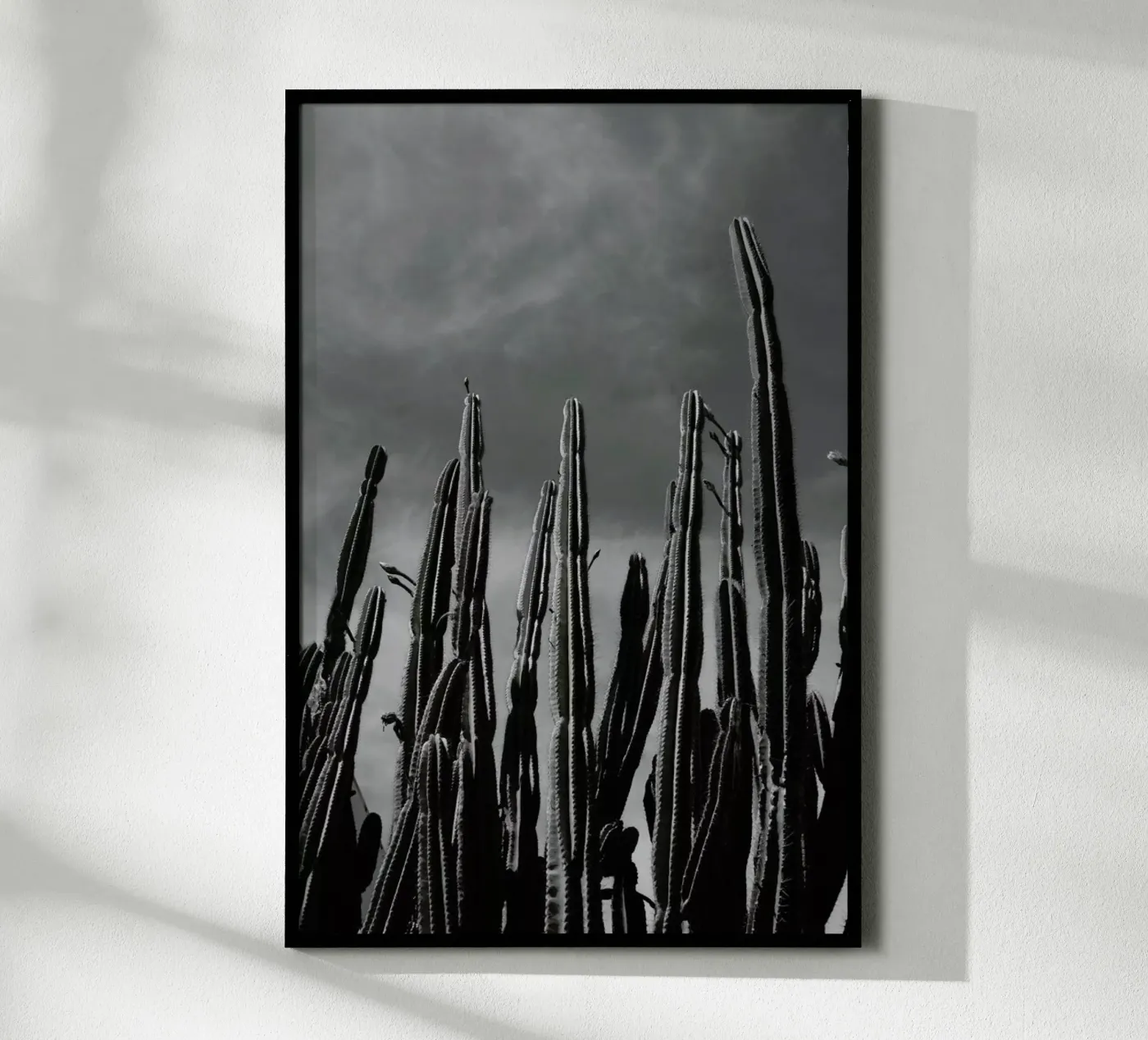 Cactus 02 poster da Laura Palm