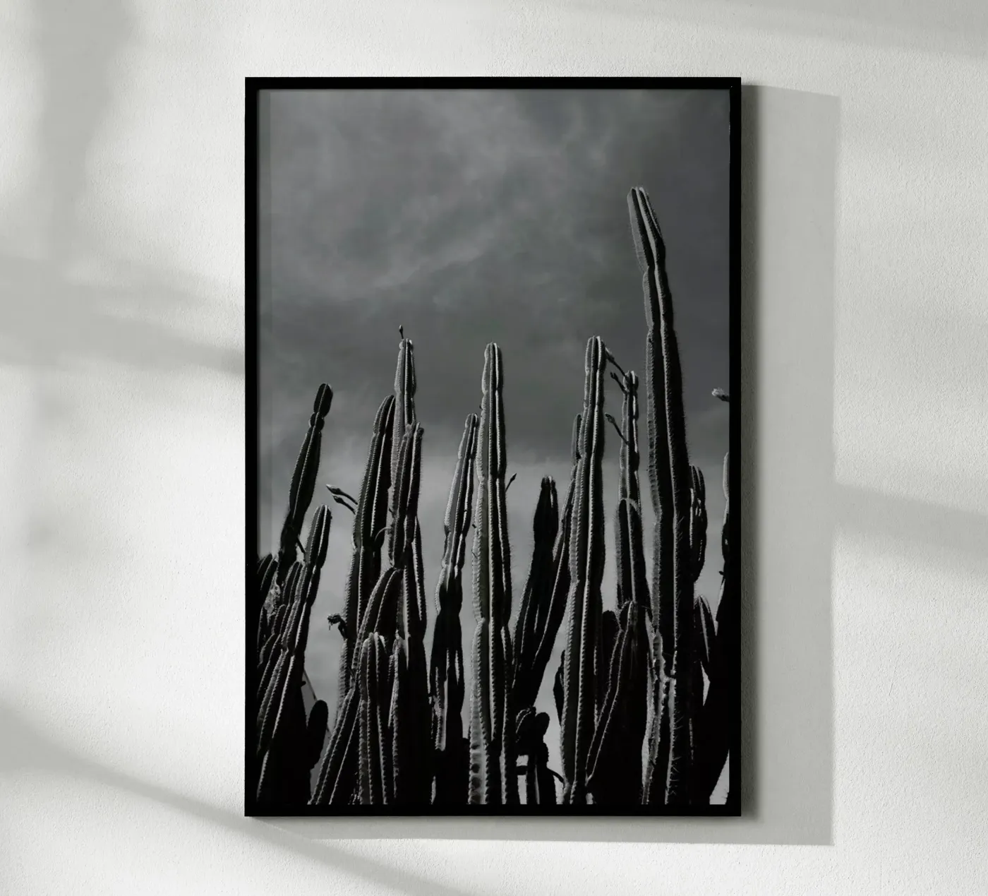 Cactus 02 poster da Laura Palm