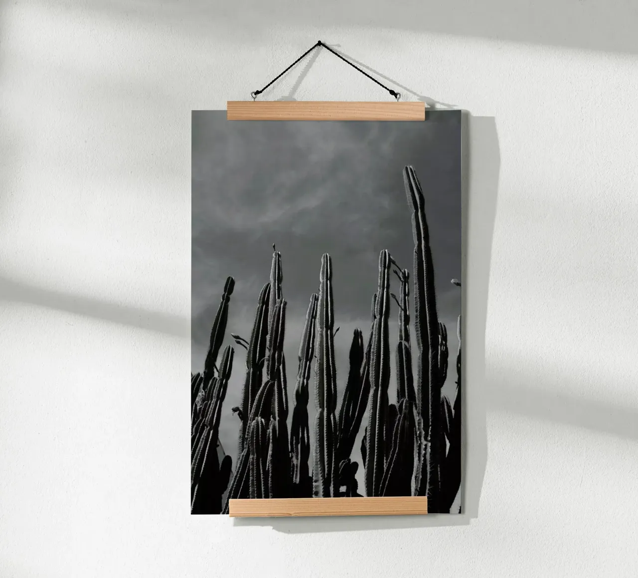 Cactus 02 carta hahnemühle da Laura Palm