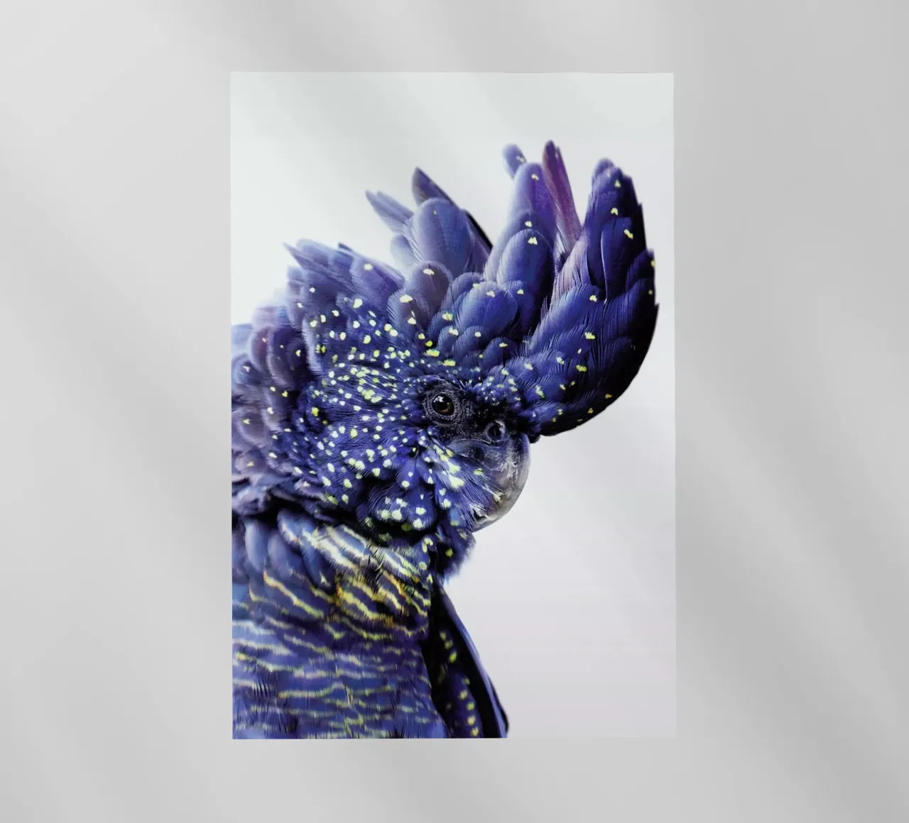 Print 458 pellicola backlit da Lila & Lola