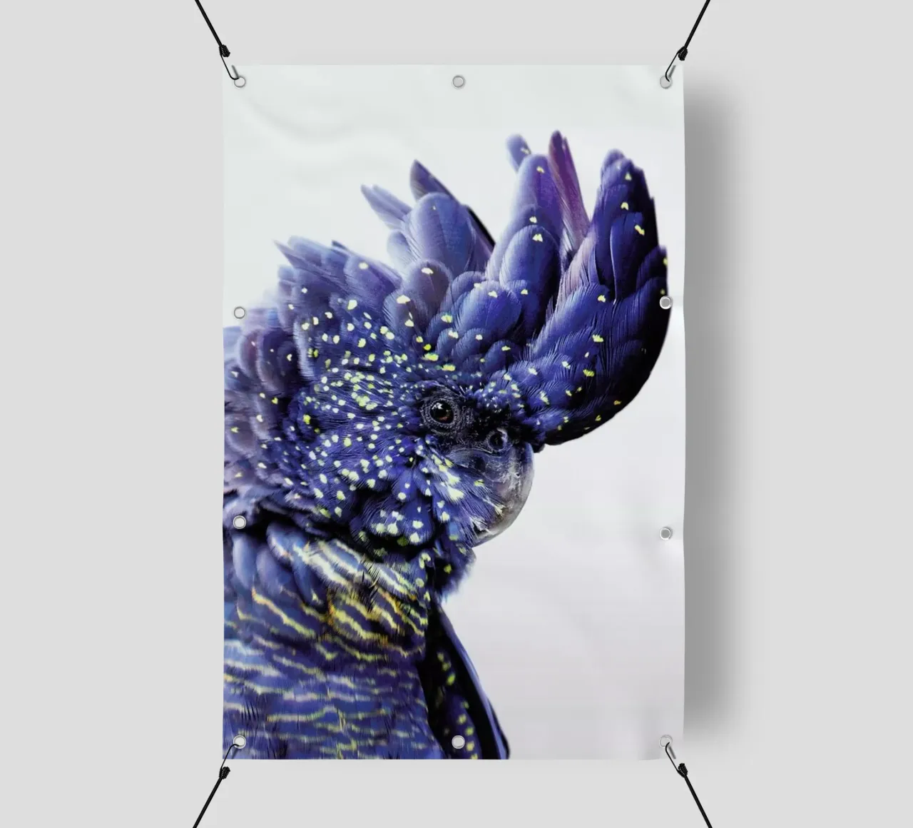 Print 458 telo in pvc da Lila & Lola