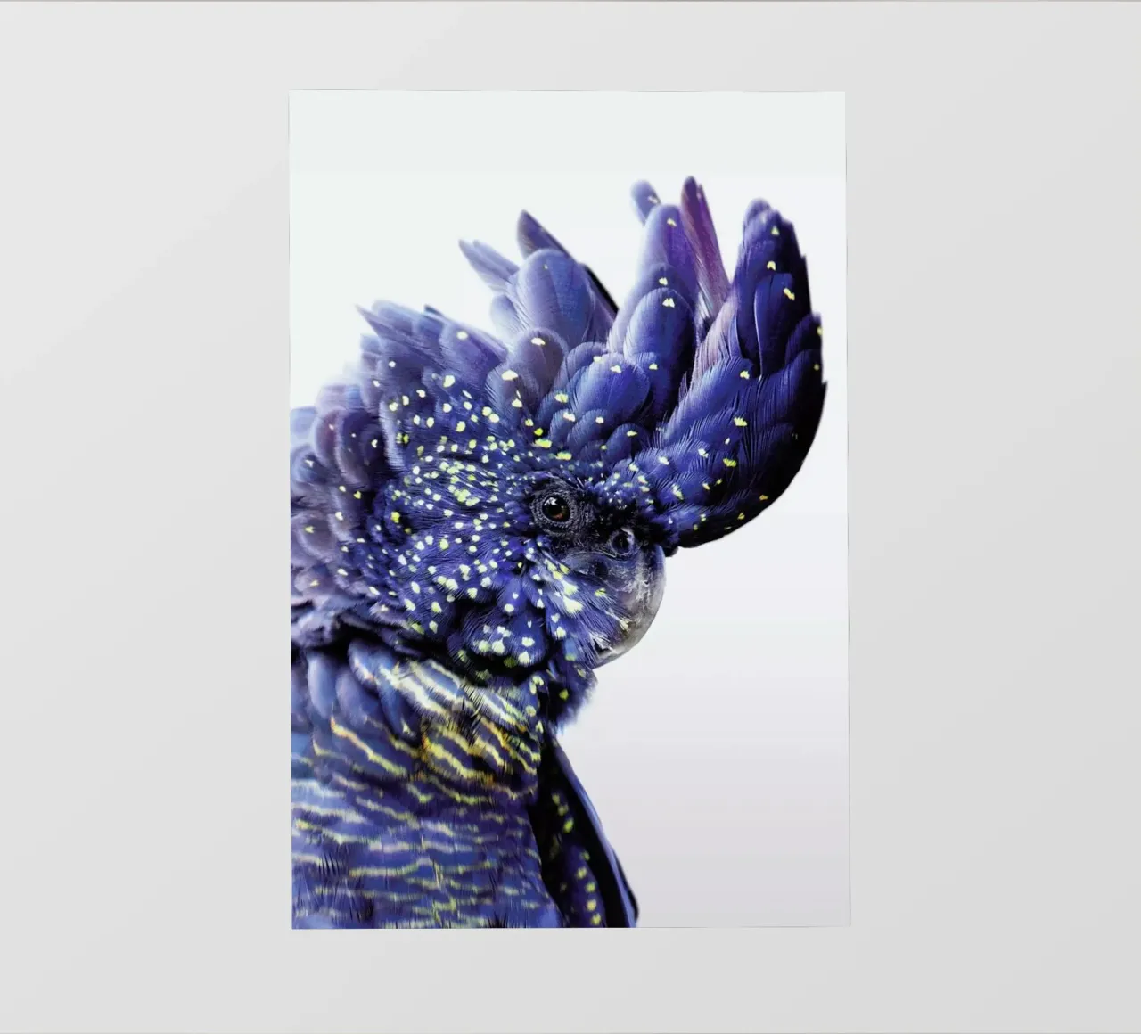 Print 458 telo in pvc da Lila & Lola