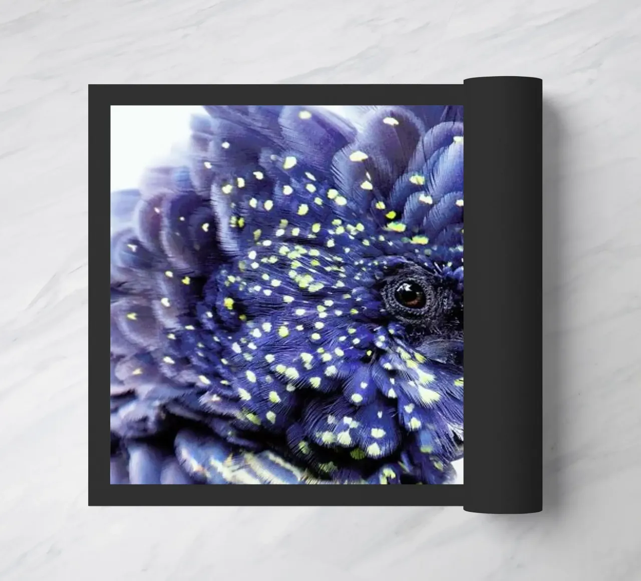 Print 458 zerbino da Lila & Lola