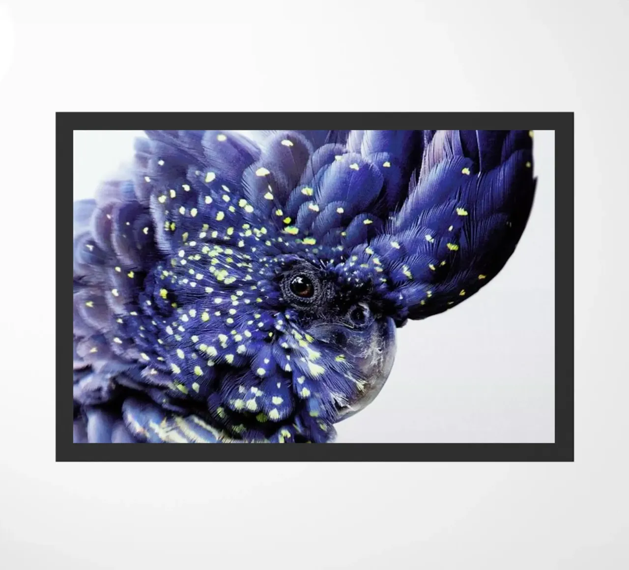 Print 458 zerbino da Lila & Lola