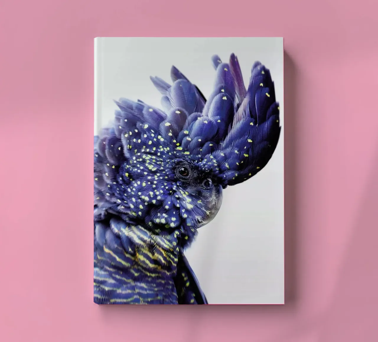 Print 458 notebook by Lila x Lola