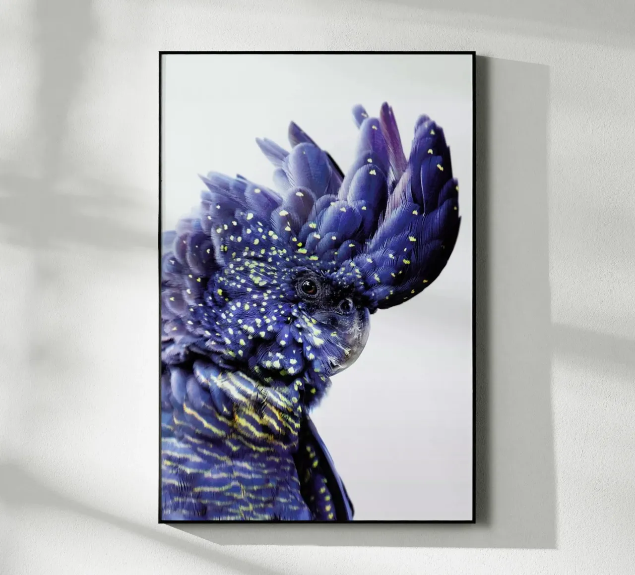 Print 458 plexiglass da Lila & Lola