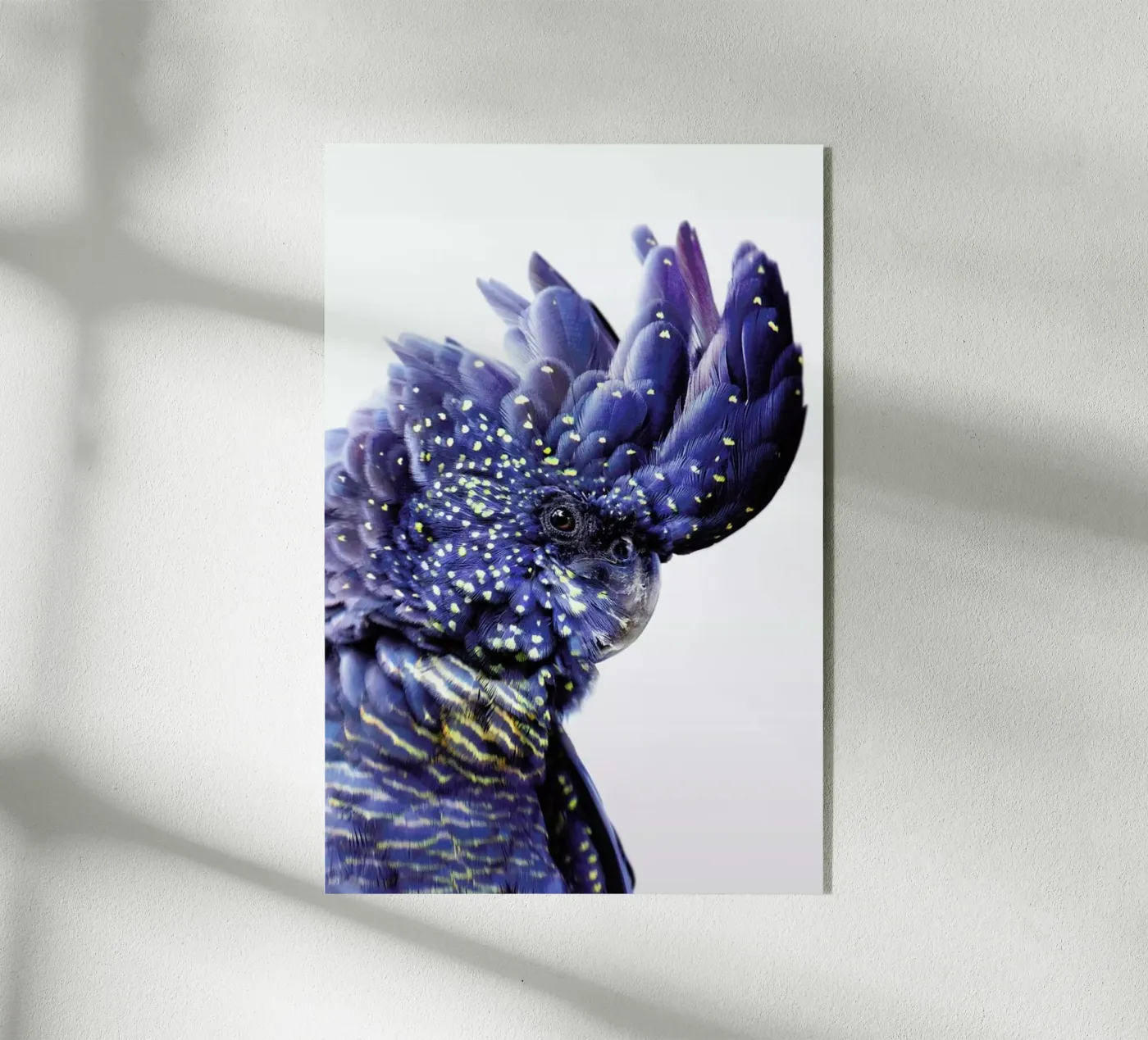 Print 458 acryl van Lila & Lola