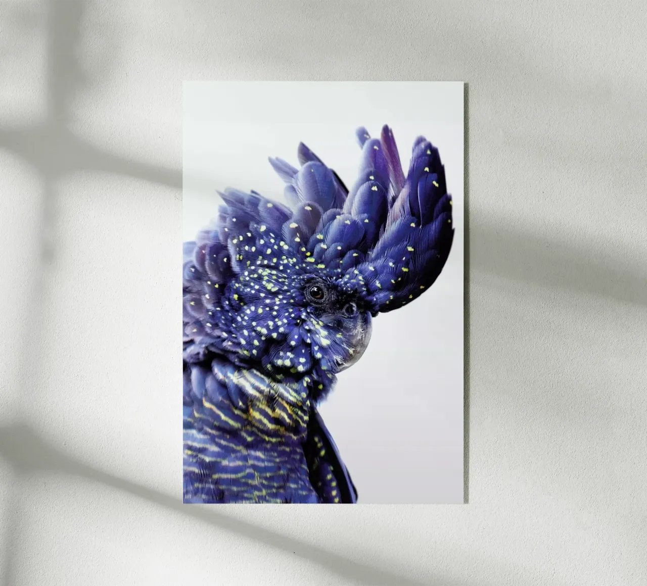 Print 458 plexiglass da Lila & Lola