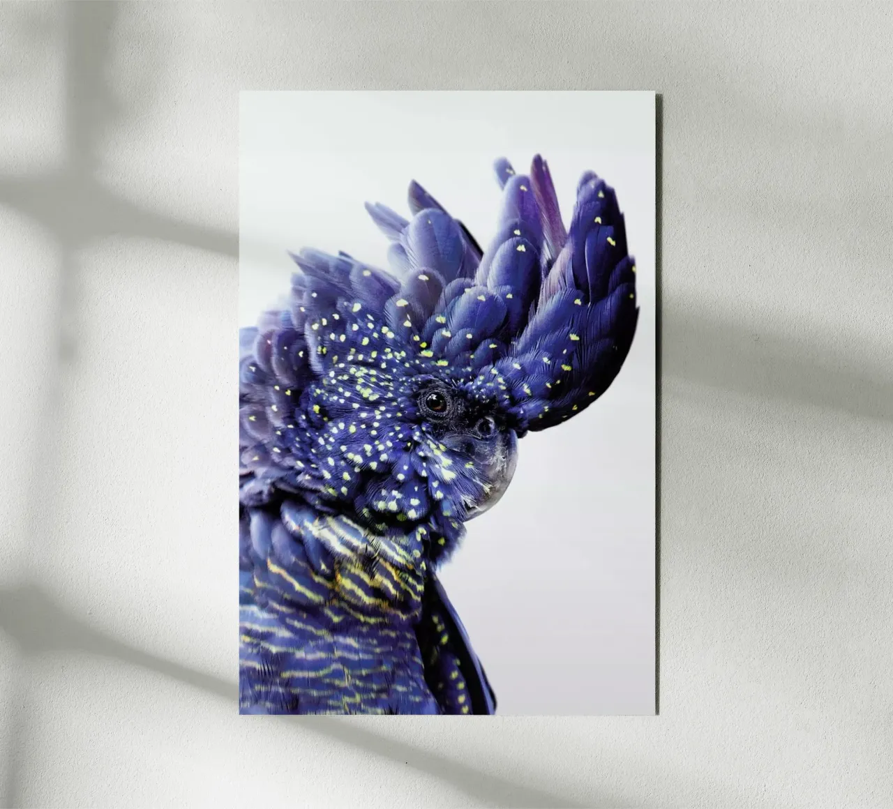 Print 458 alluminio dibond da Lila x Lola