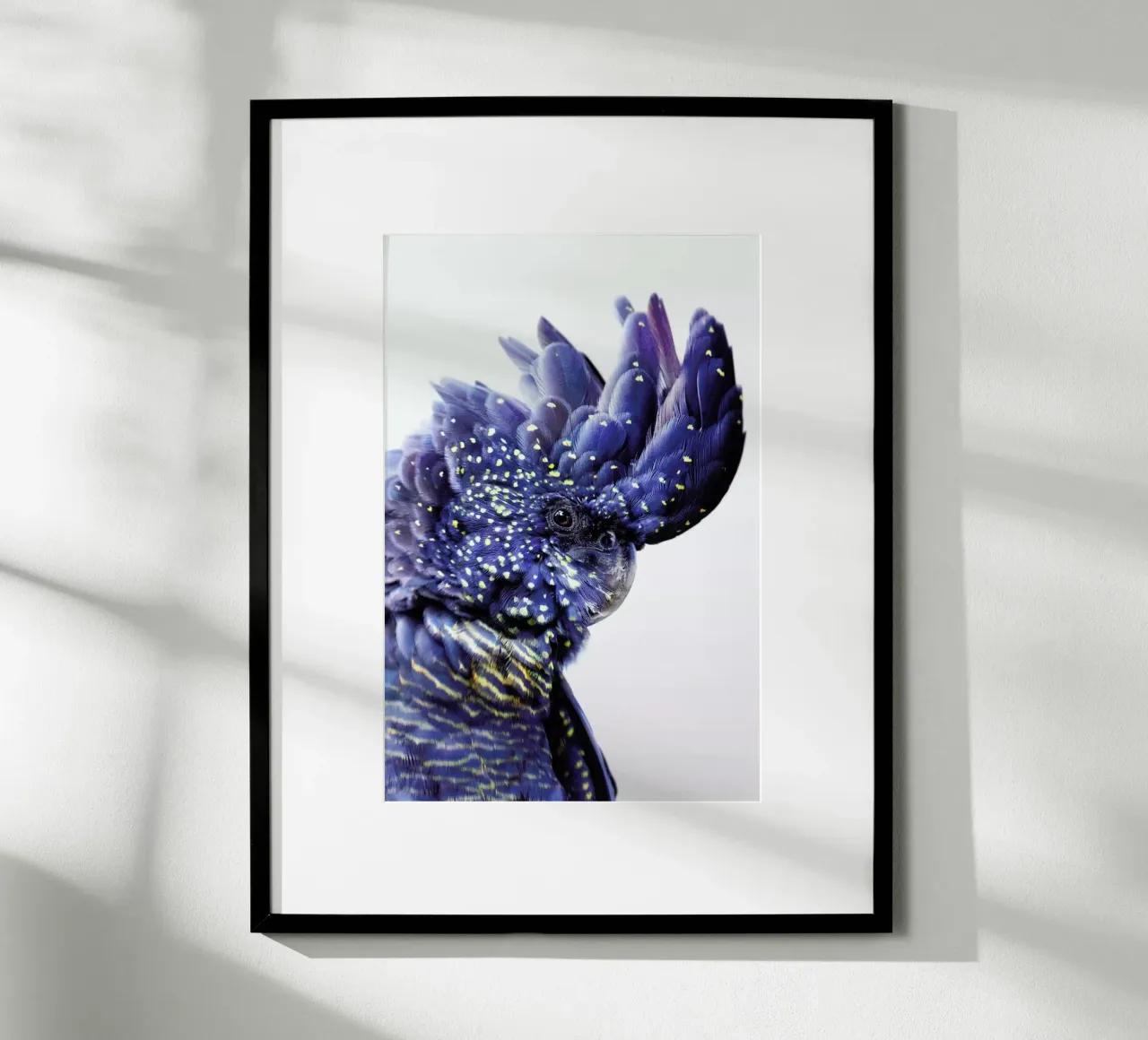 Print 458 poster da Lila & Lola