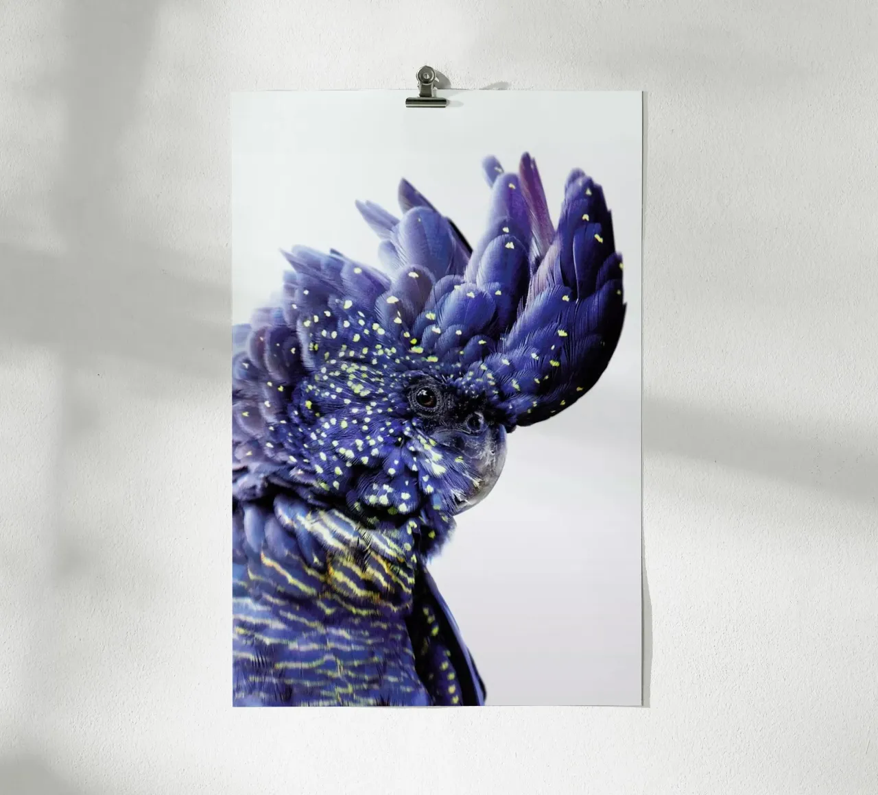 Print 458 poster da Lila & Lola