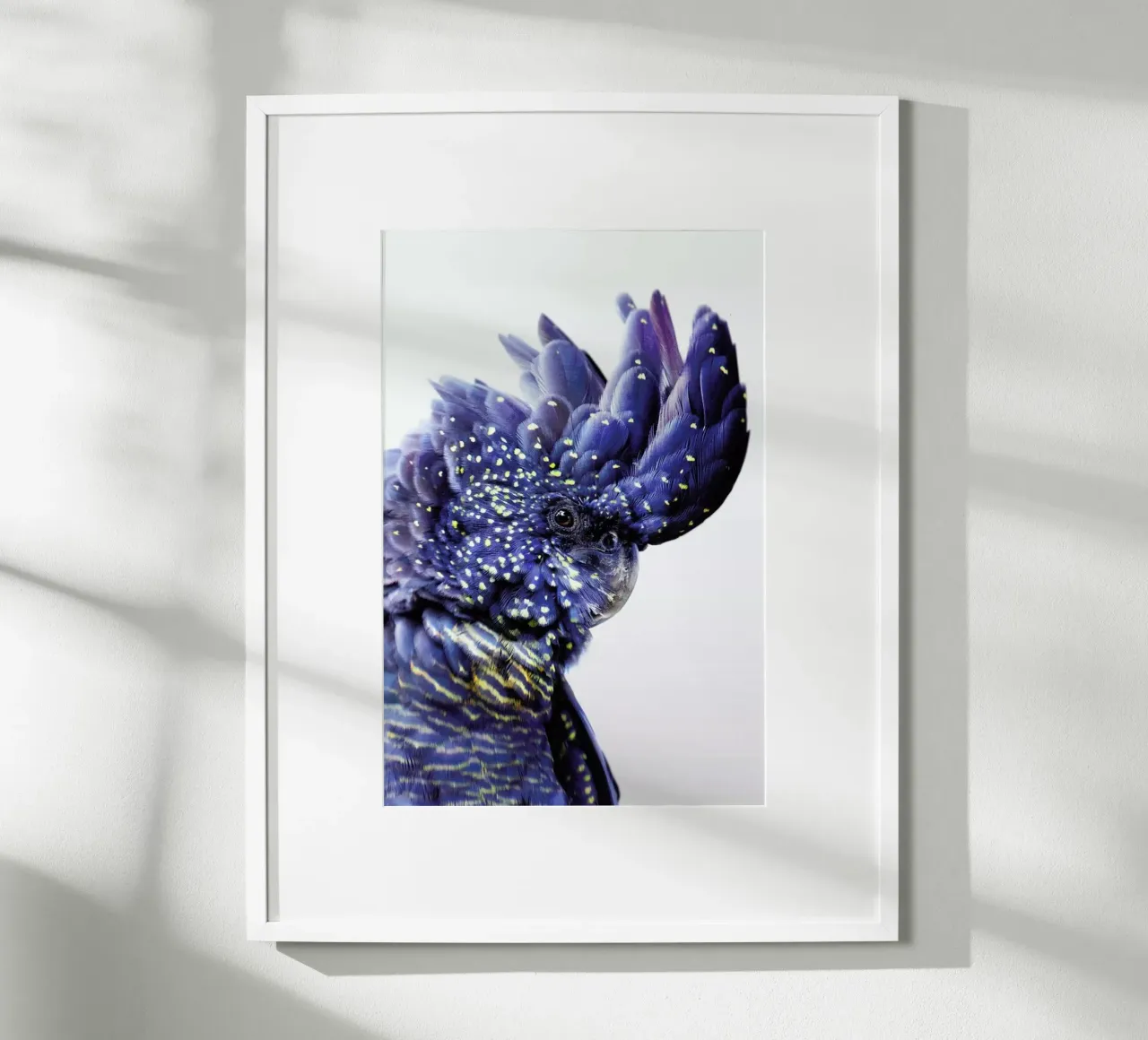 Print 458 poster da Lila & Lola