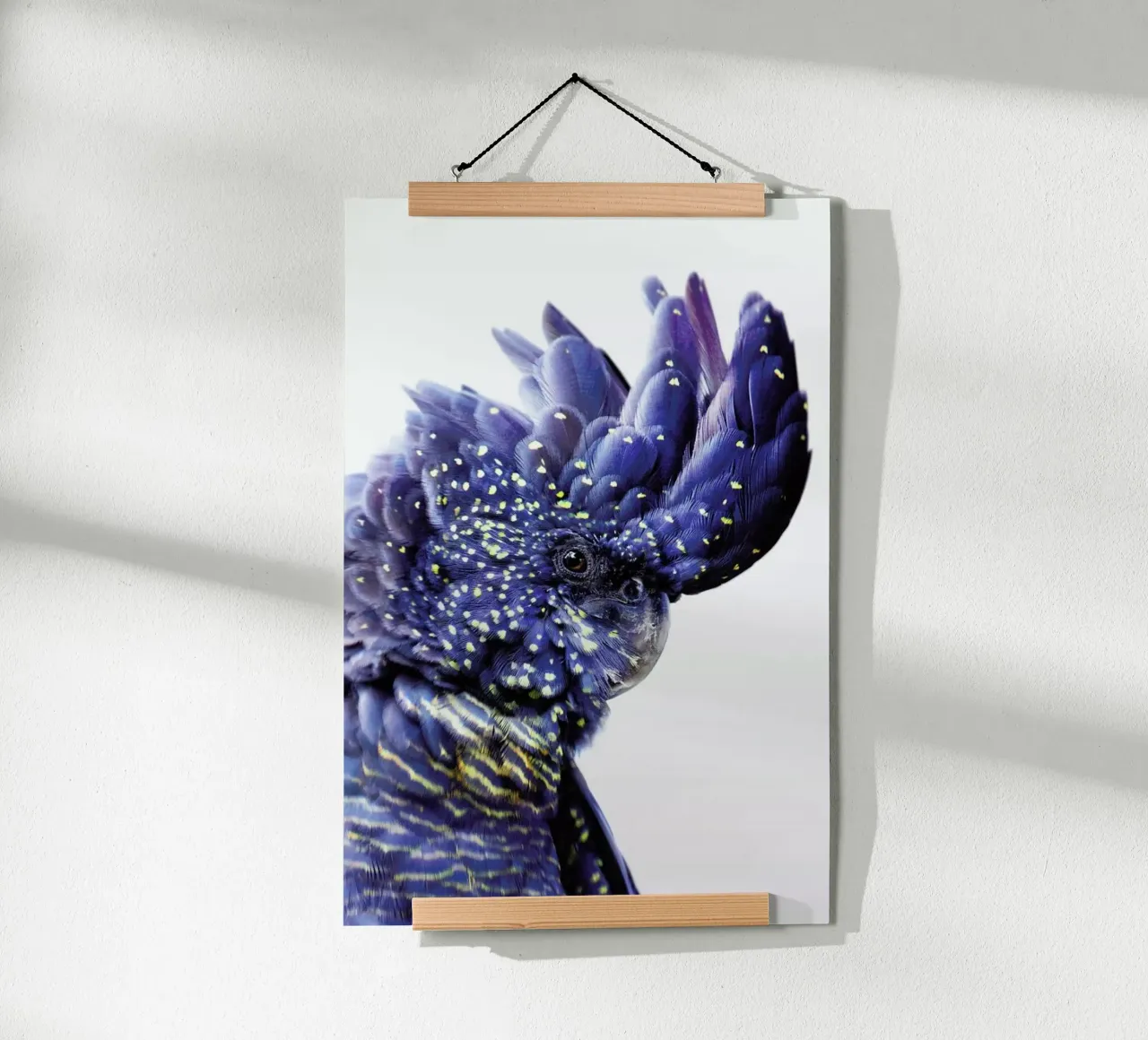 Print 458 poster da Lila & Lola