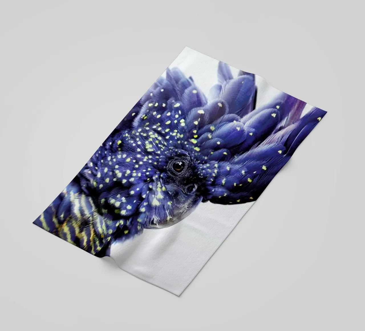 Print 458 telo mare da Lila & Lola