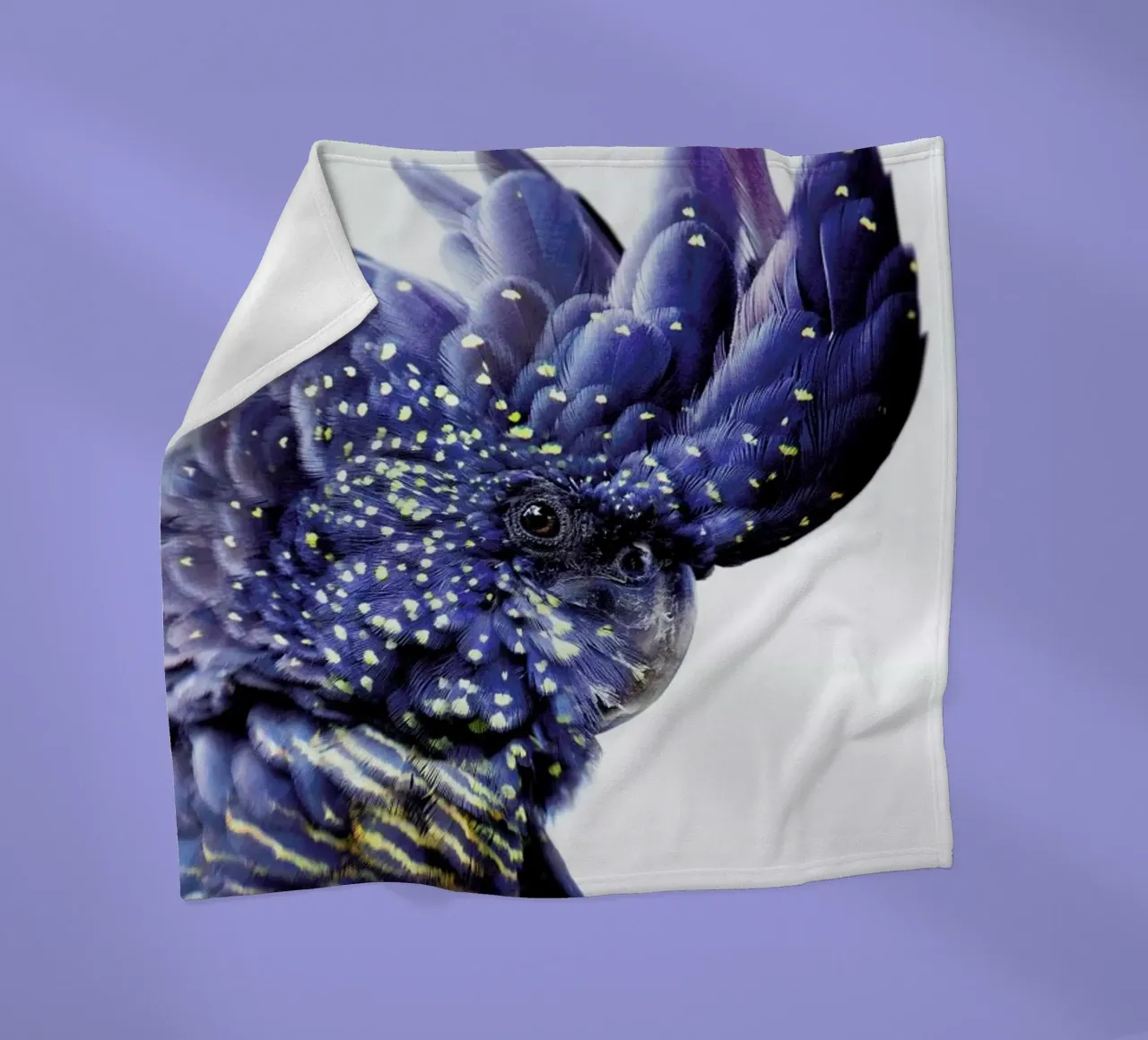 Print 458 coperta in pile da Lila x Lola