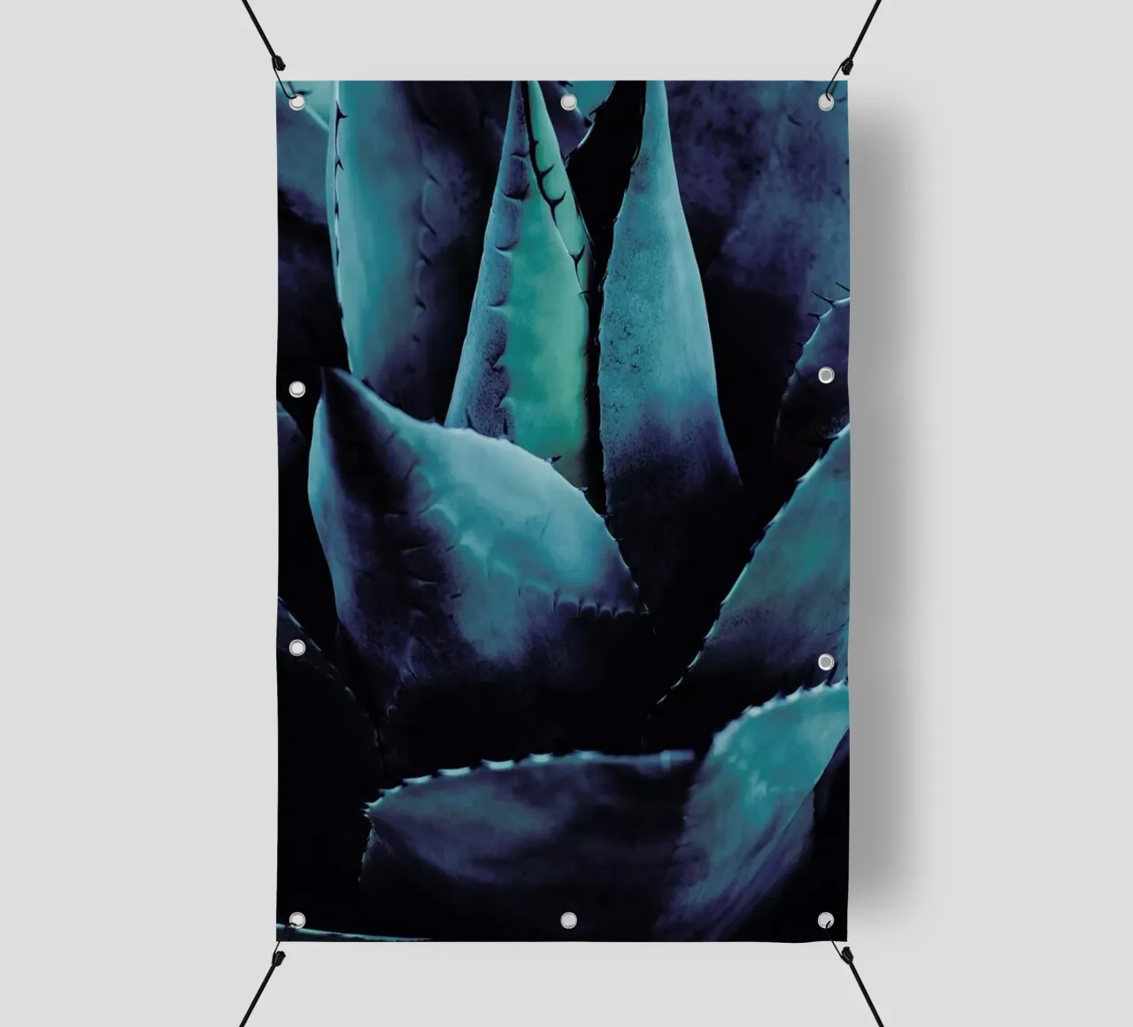 Cactus No.4 telo in pvc da Kubistika