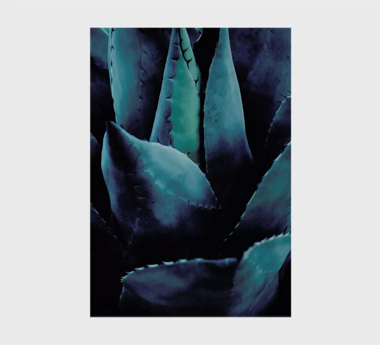 Cactus No.4 notebook by Kubistika