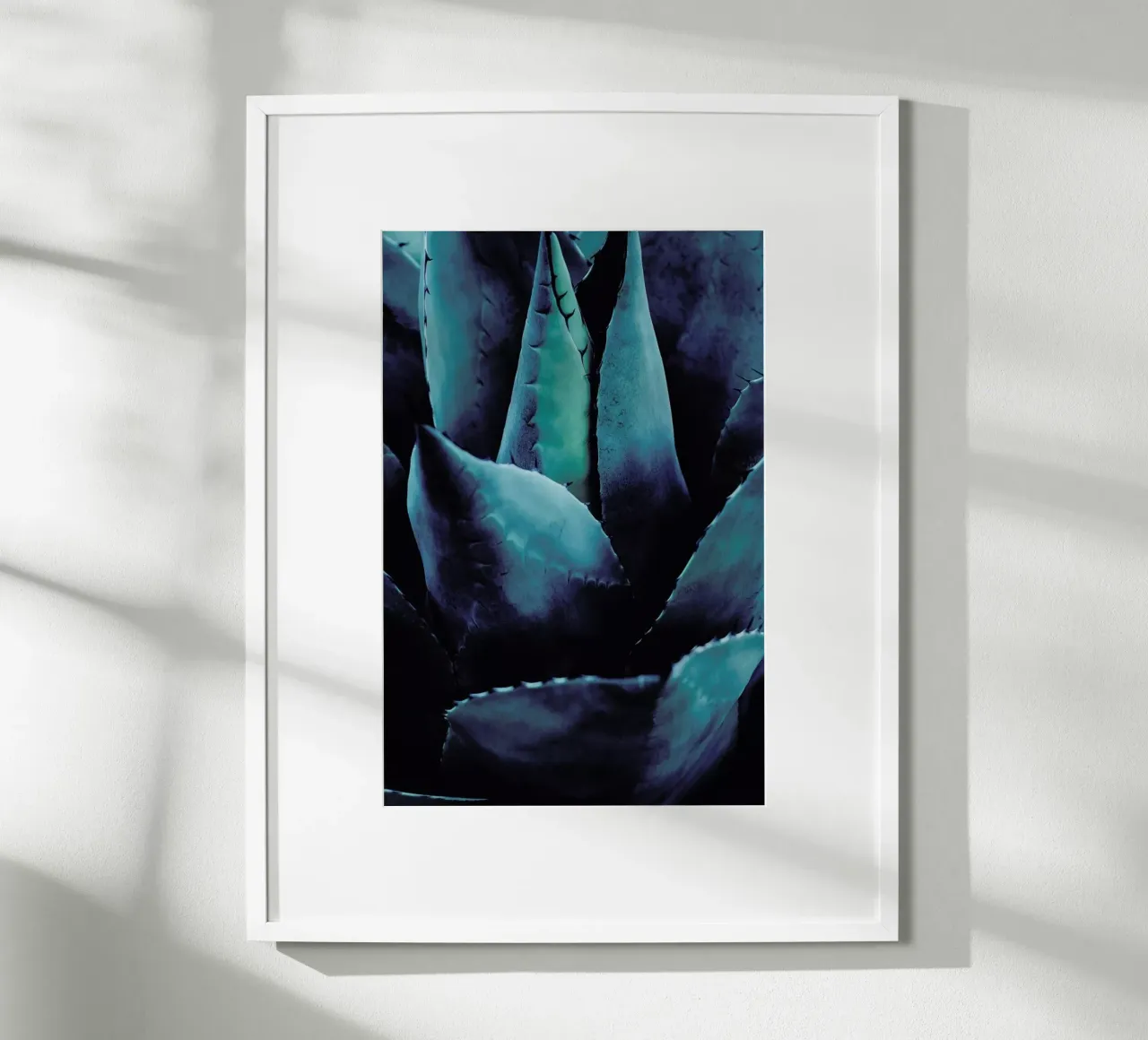 Cactus No.4 carta hahnemühle da Kubistika