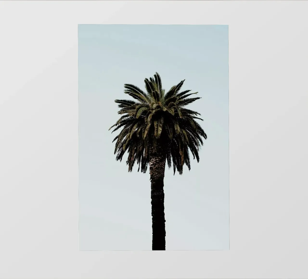 Palmtree telo in pvc da Laura Palm