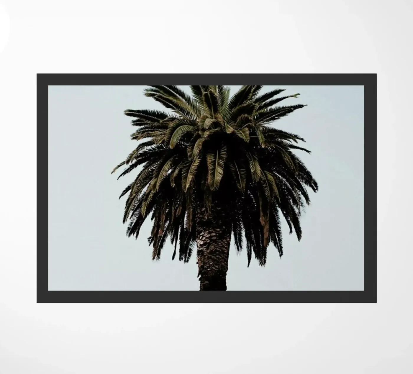 Palmtree doormat by Laura Palm