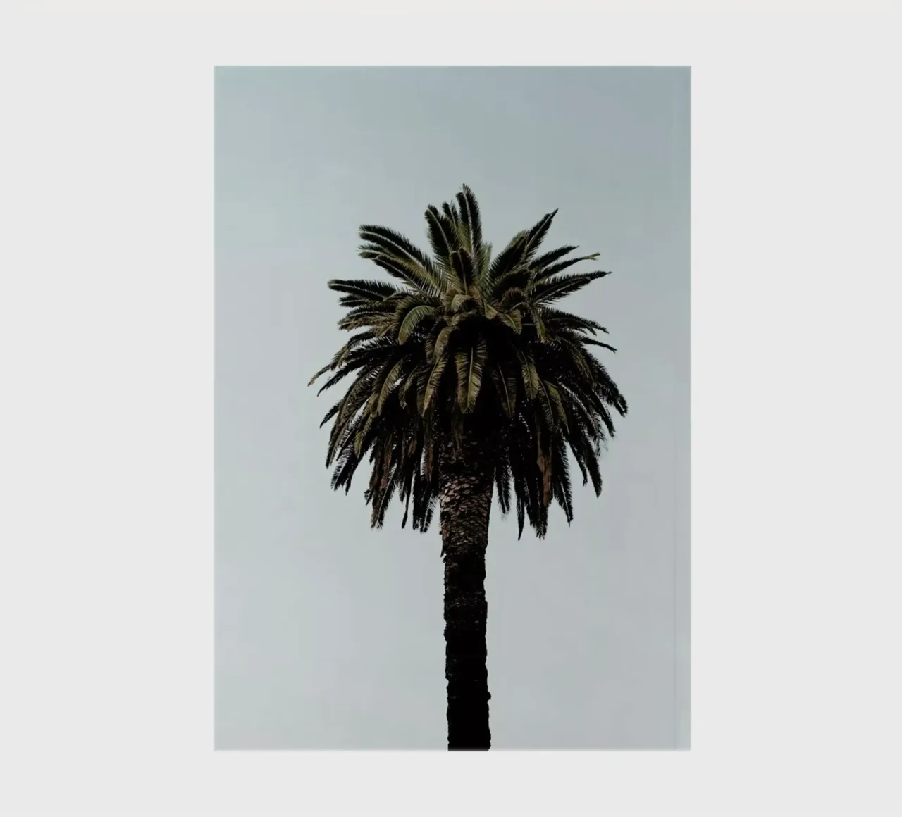 Palmtree notebook by Laura Palm