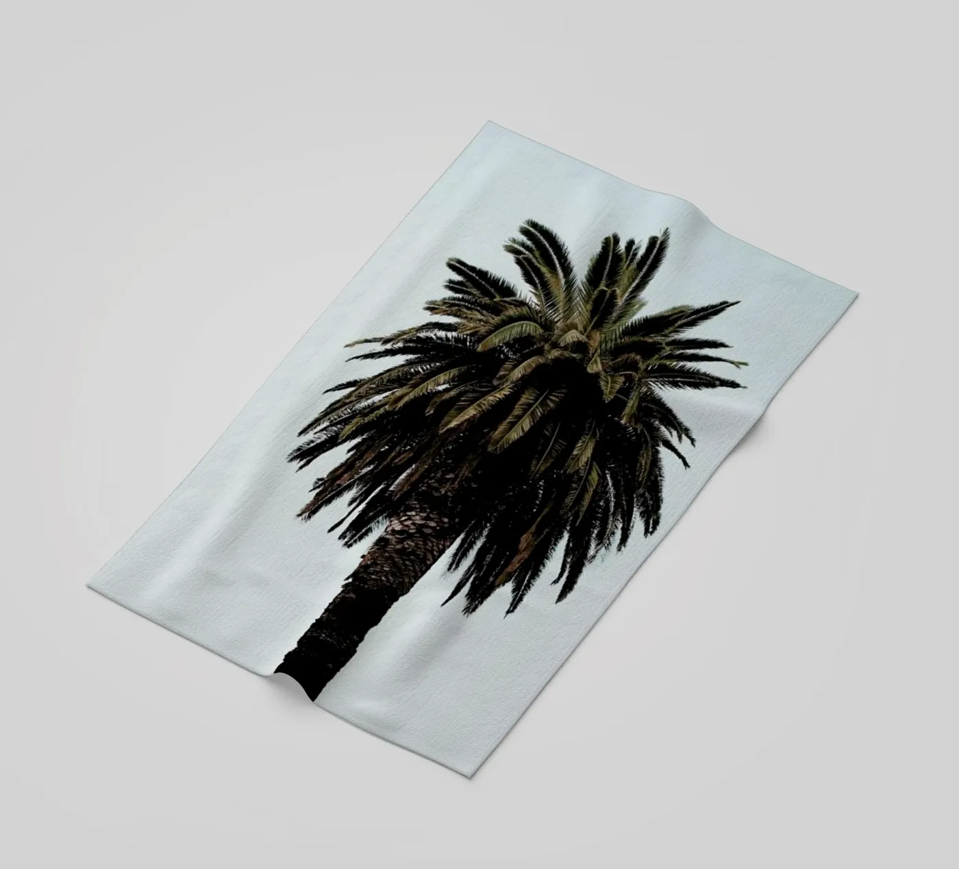 Palmtree beach towel by Laura Palm
