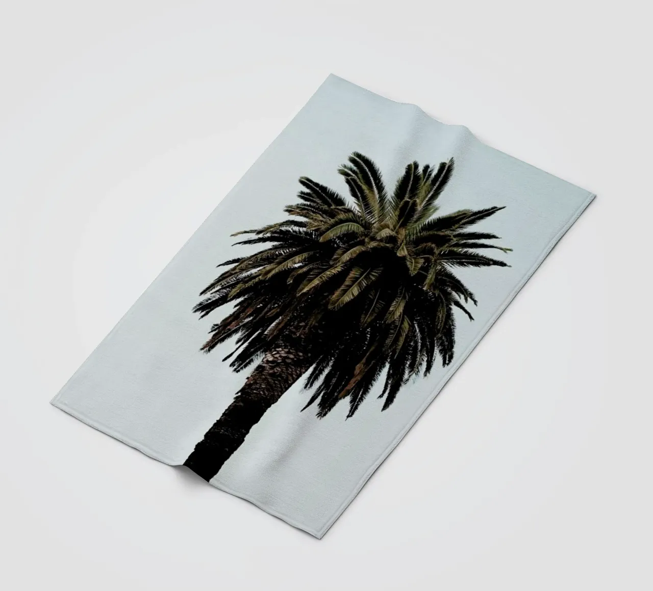 Palmtree coperta in pile da Laura Palm