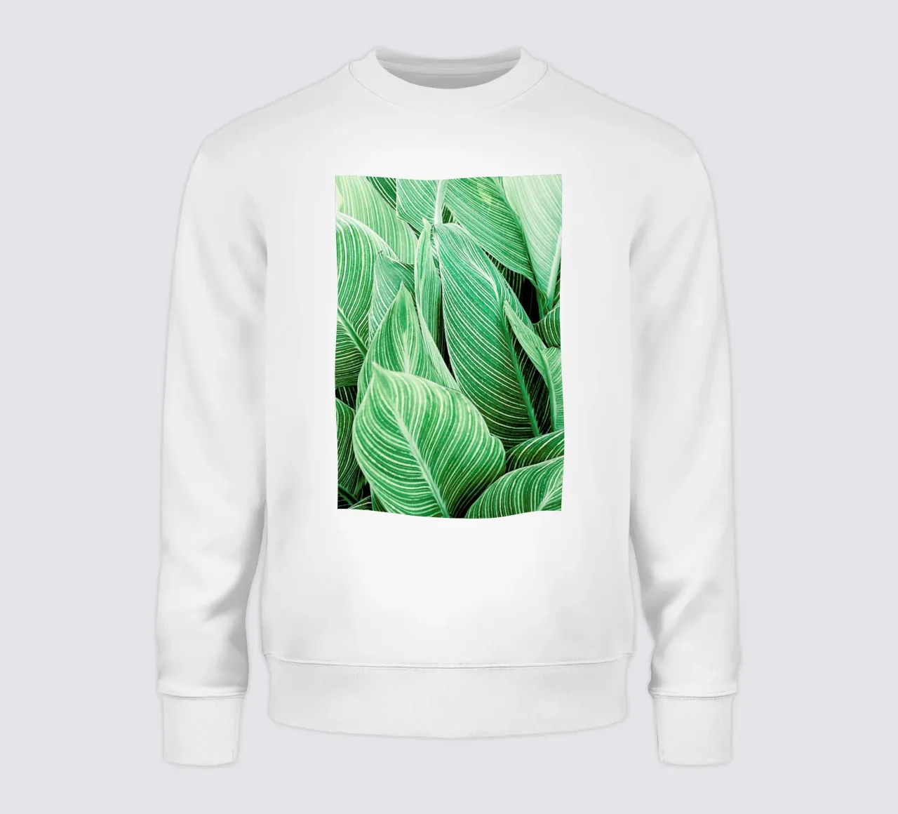 Print 144 felpa da Lila & Lola