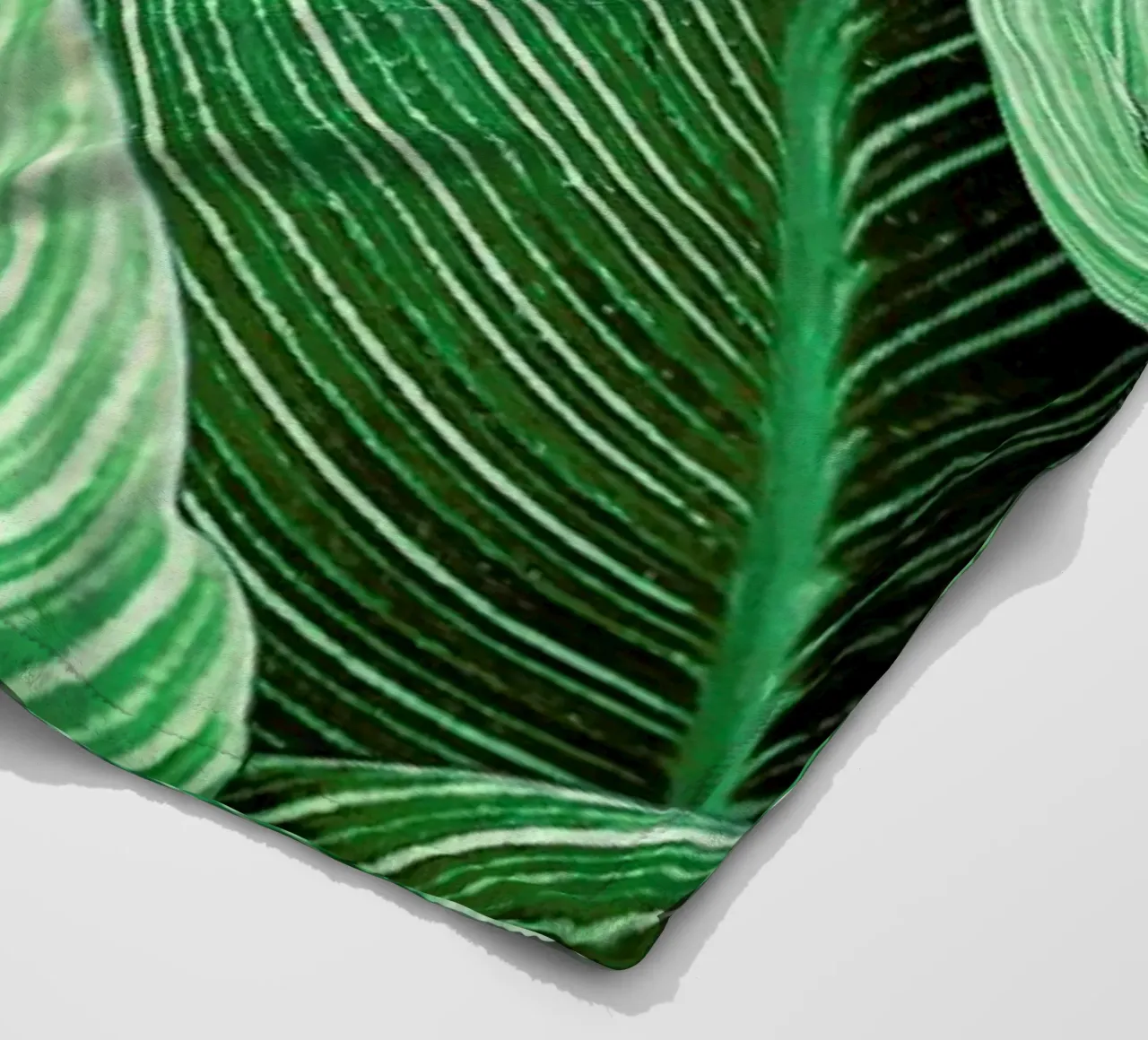 Print 144 coperta in pile da Lila x Lola