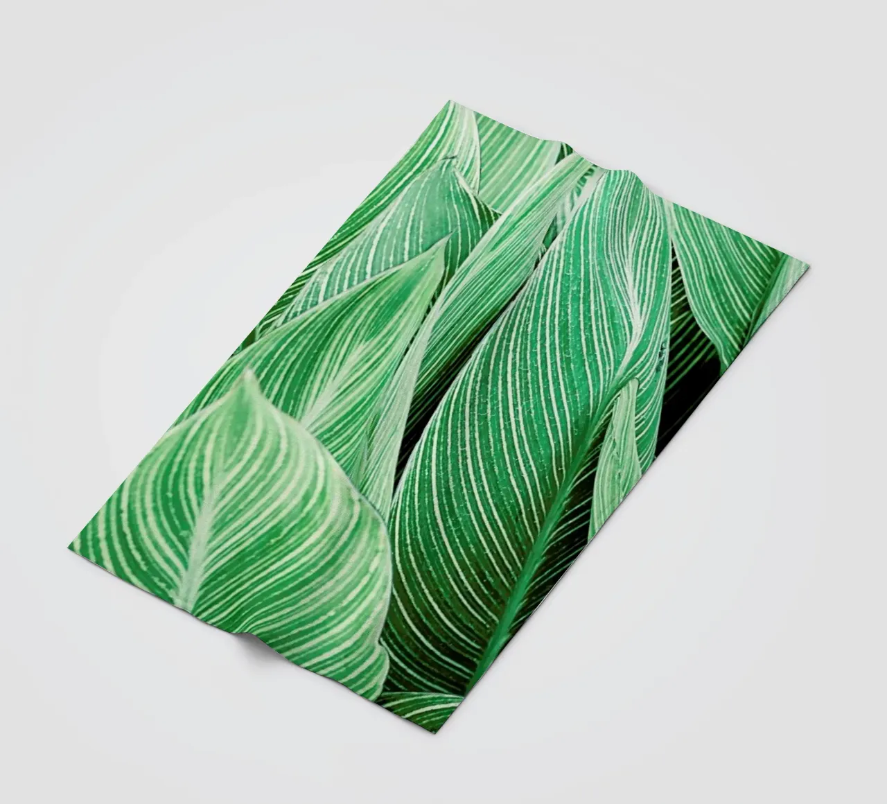 Print 144 coperta in pile da Lila x Lola