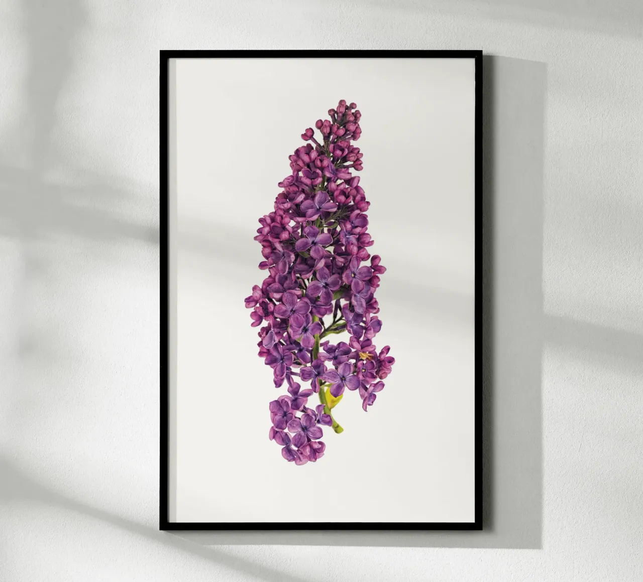 Poster con fiori di lillà viola poster da Curious Collections by Marielle Leenders