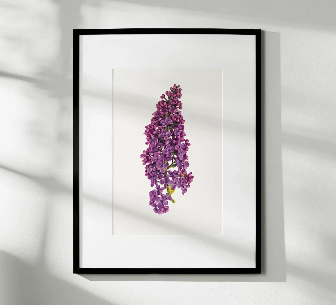 Poster con fiori di lillà viola poster da Curious Collections by Marielle Leenders