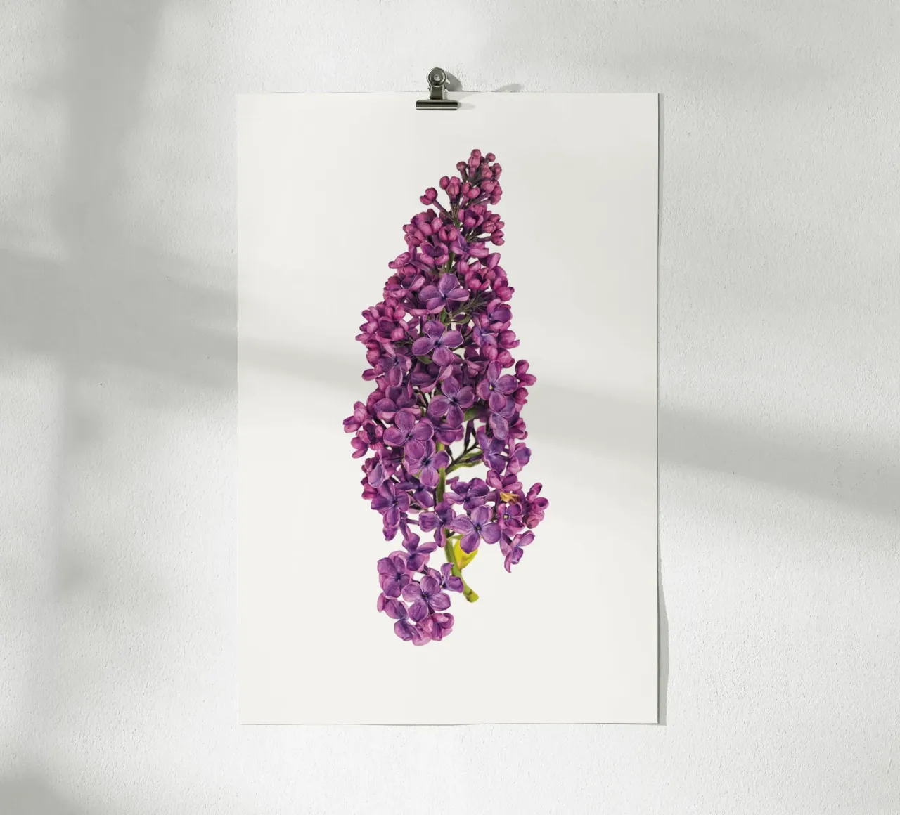 Poster con fiori di lillà viola poster da Curious Collections by Marielle Leenders