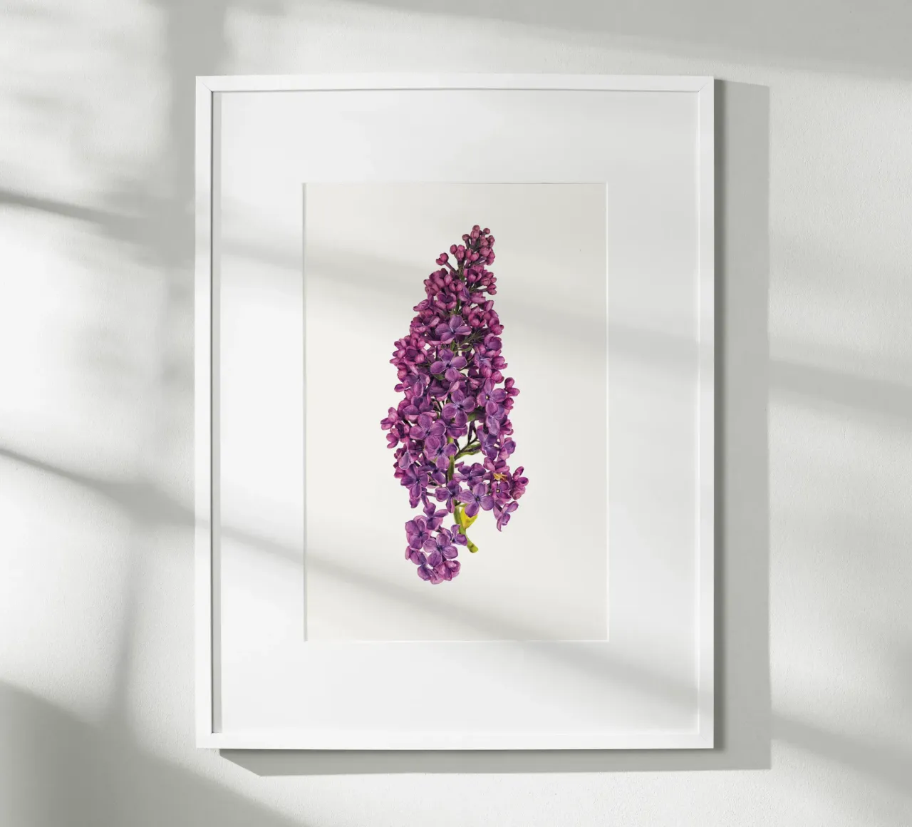 Poster con fiori di lillà viola poster da Curious Collections by Marielle Leenders