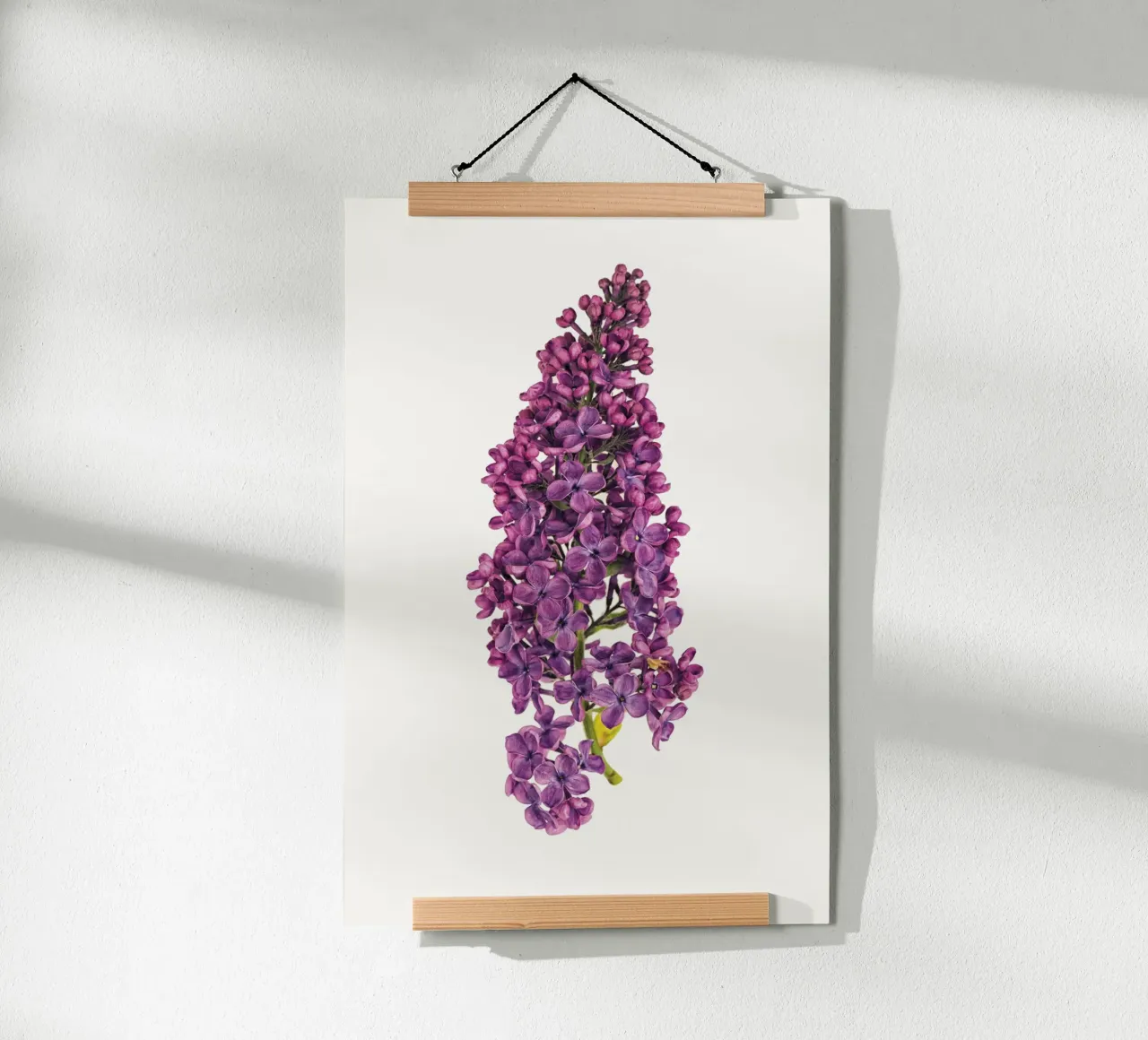 Poster con fiori di lillà viola poster da Curious Collections by Marielle Leenders