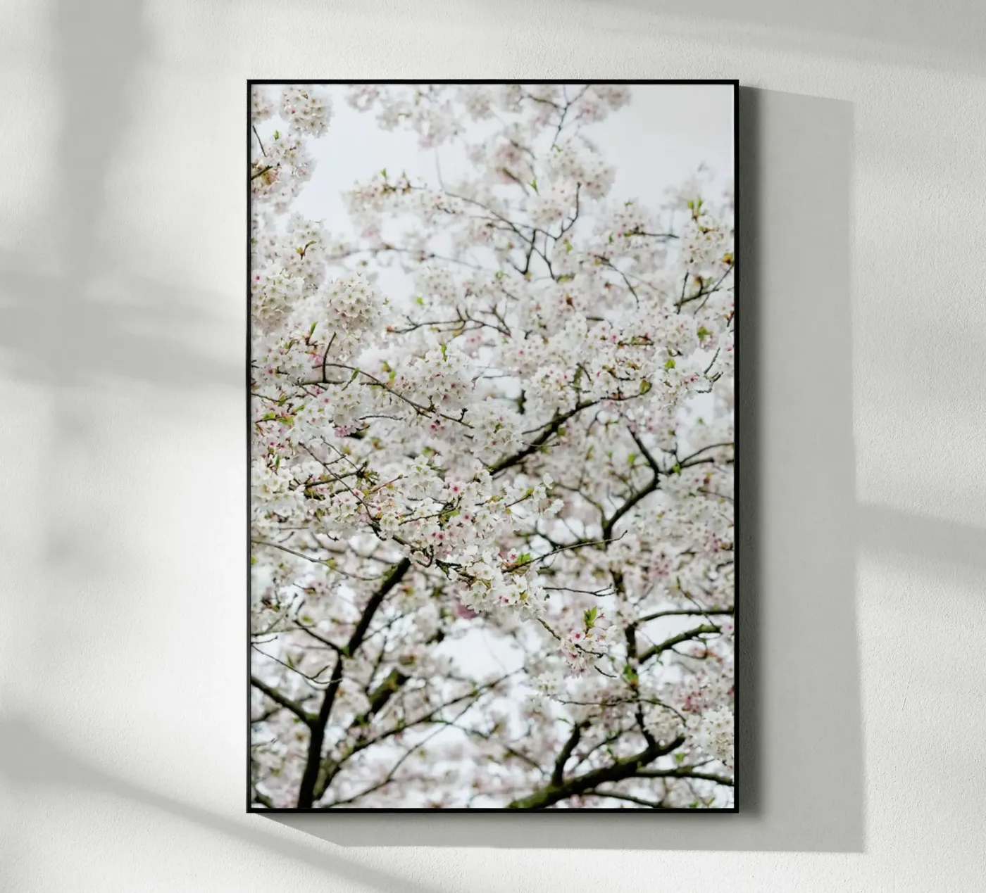 Blossom White 1 plexiglass da Curious Collections by Marielle Leenders
